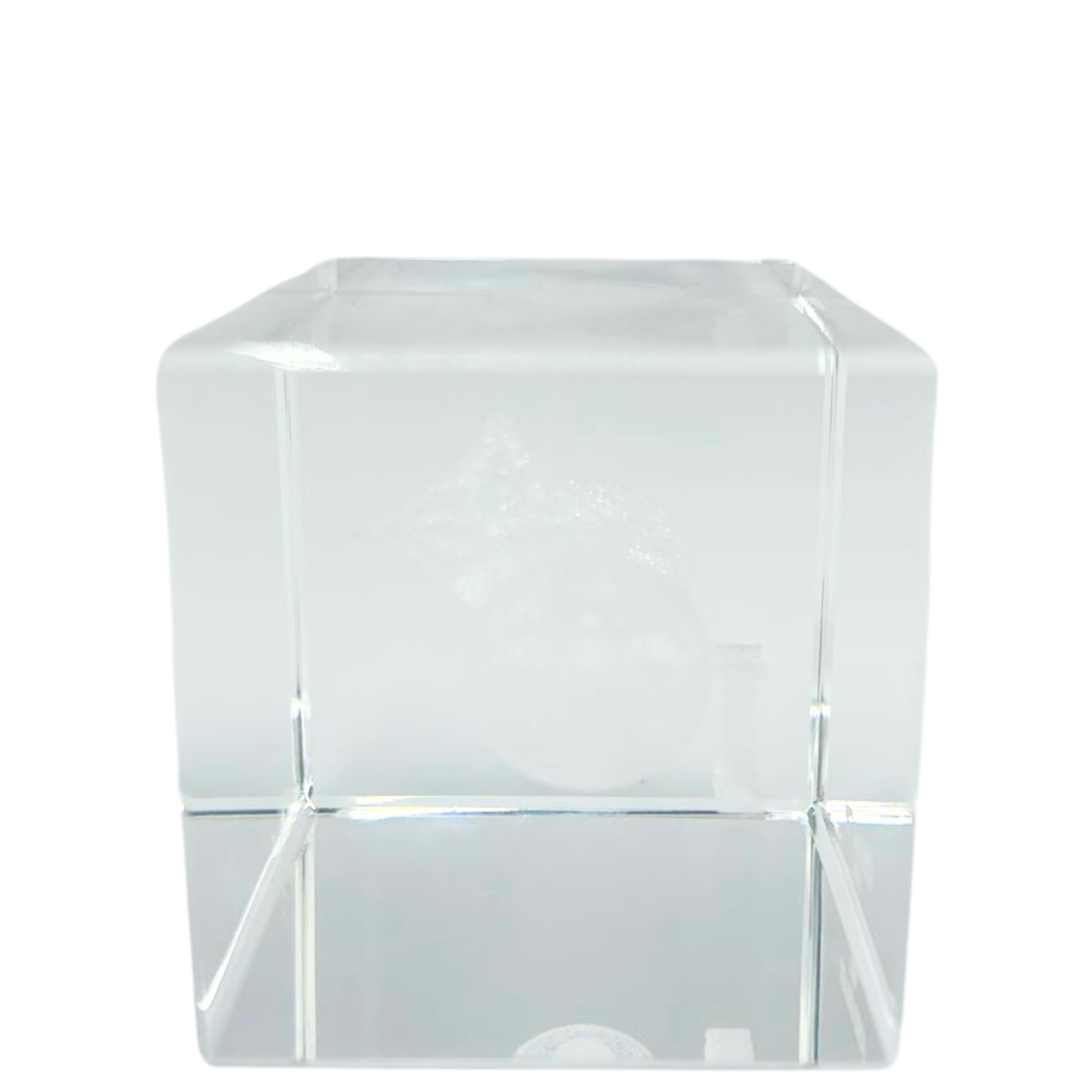 Louis Vuitton Monogram Paper Weight Glass Fashion Accessory