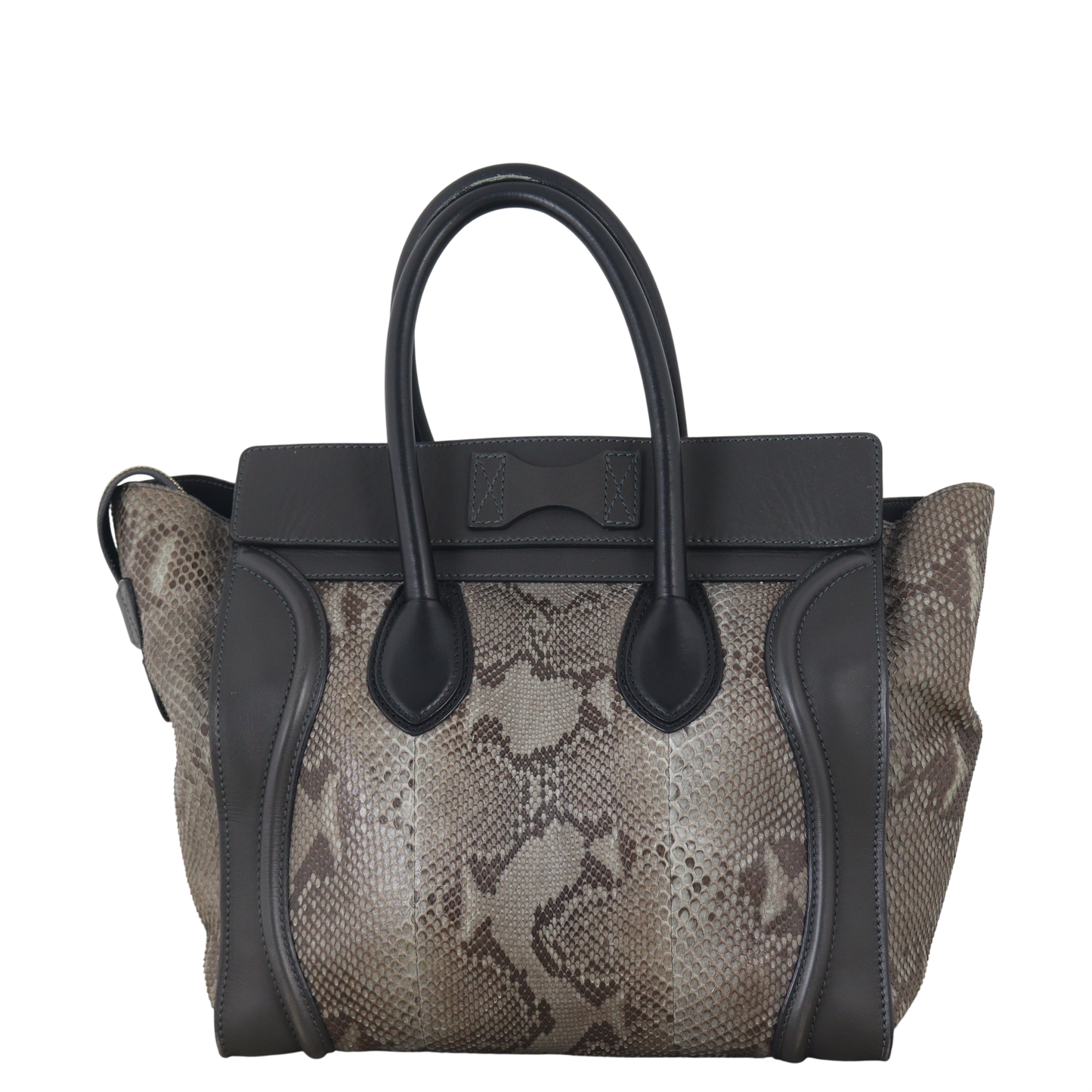 Celine Luggage Tote Python Handbag Mini Tote Bag
