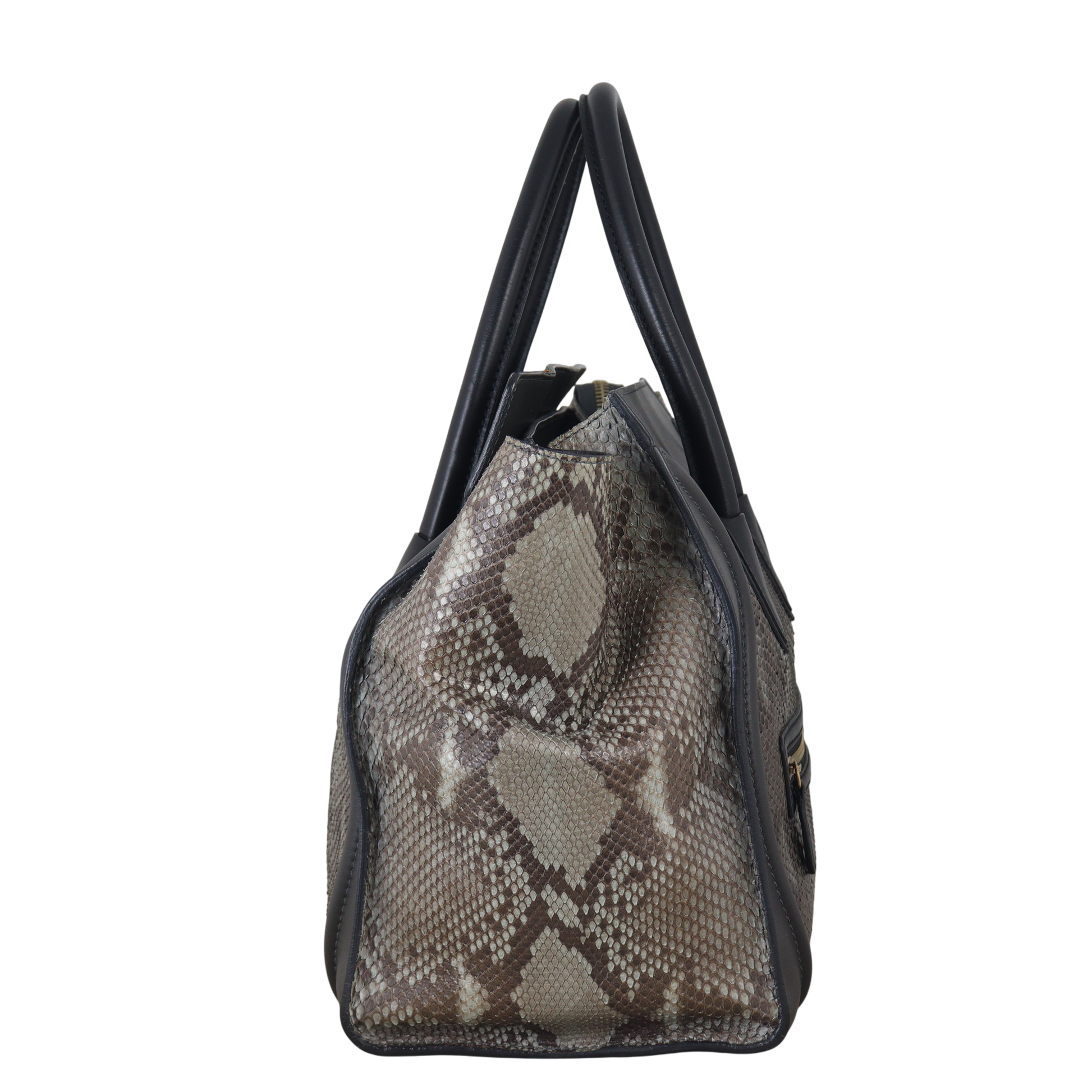 Celine Luggage Tote Python Handbag Mini Tote Bag