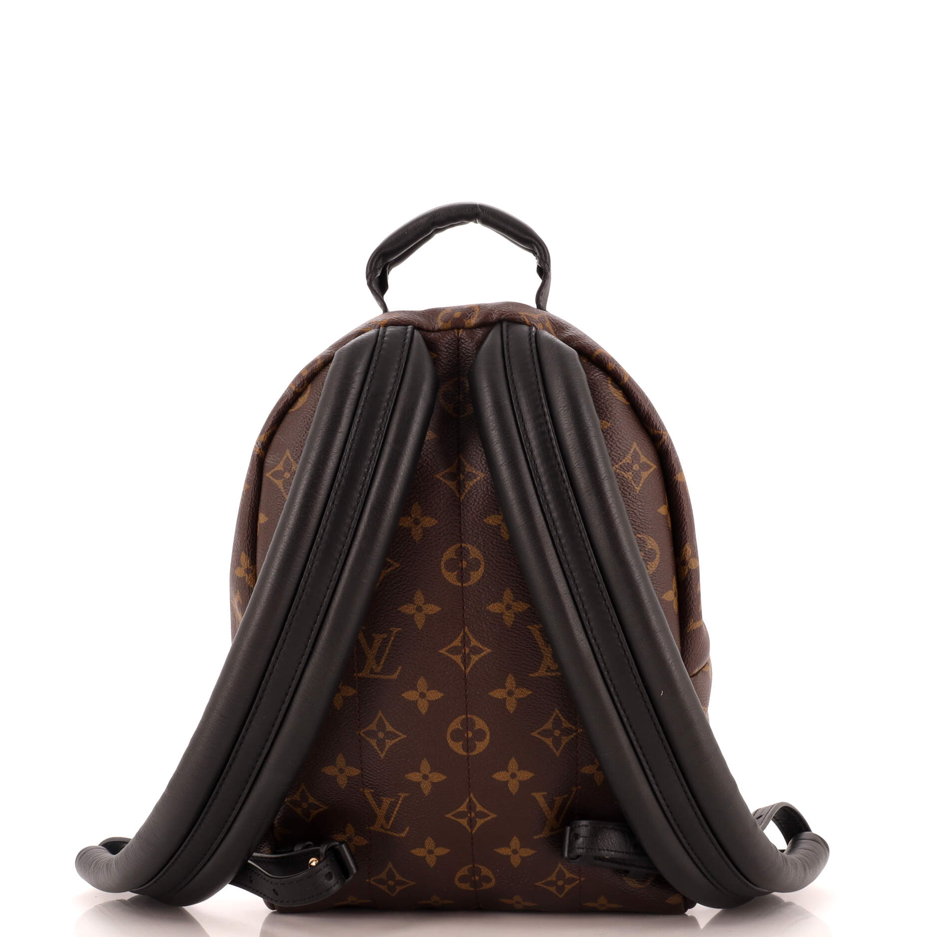 Louis Vuitton Palm Springs Backpack Pm Canvas Monogram Jewelry Canvas Pm267231136