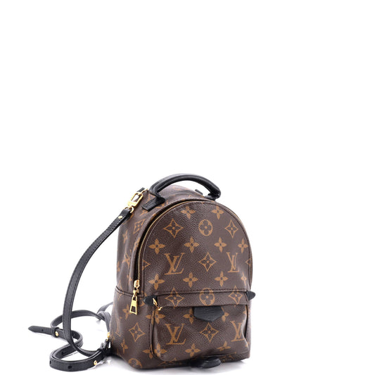 Louis Vuitton Palm Springs Backpack Canvas Monogram Jewelry