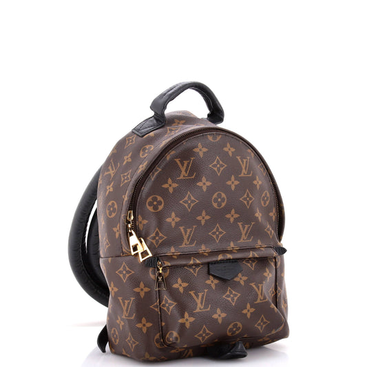 Louis Vuitton Palm Springs Backpack Pm Canvas Monogram Jewelry