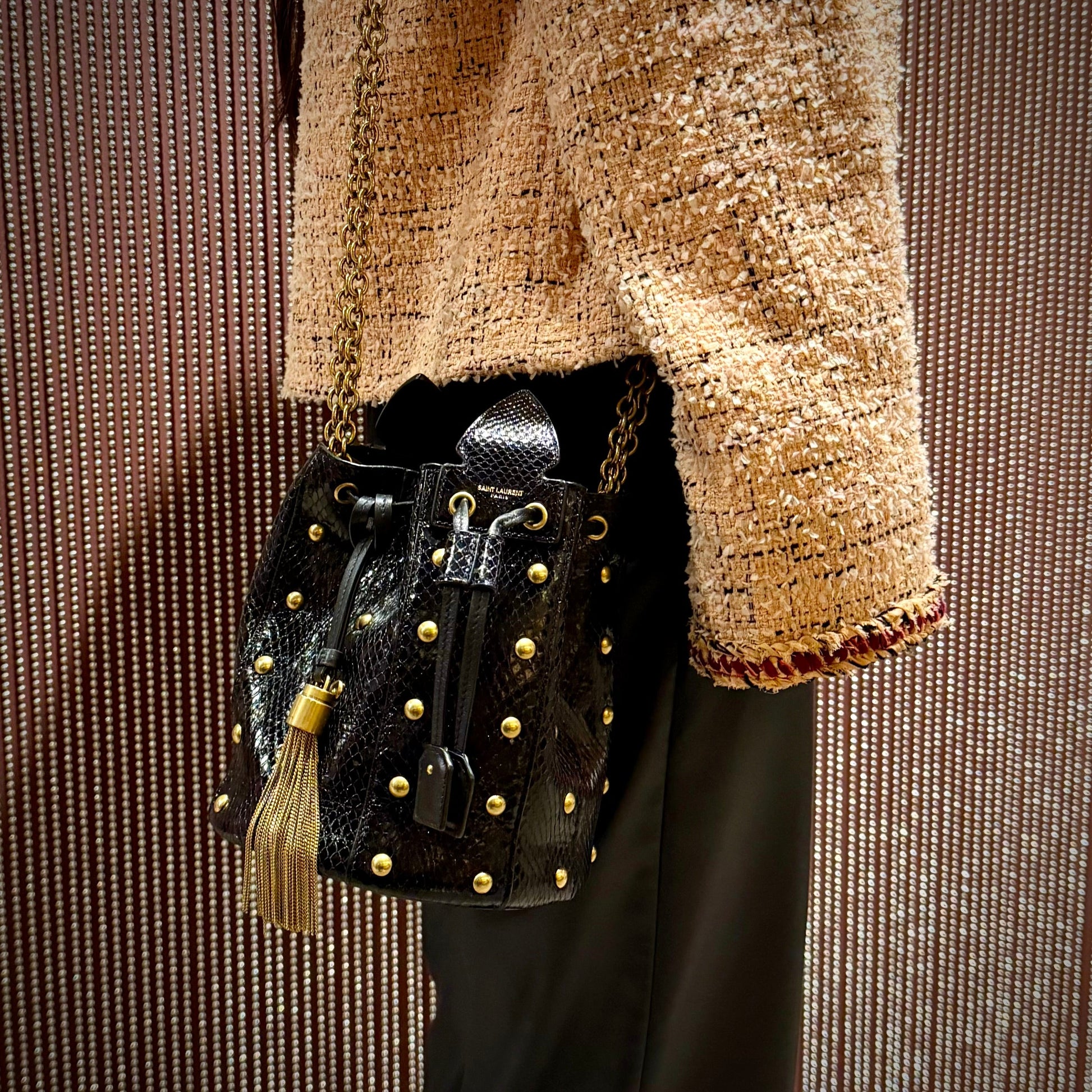 YSL Saint Laurent Snakeskin Studded Anja Bag Bucket Bucket Bag