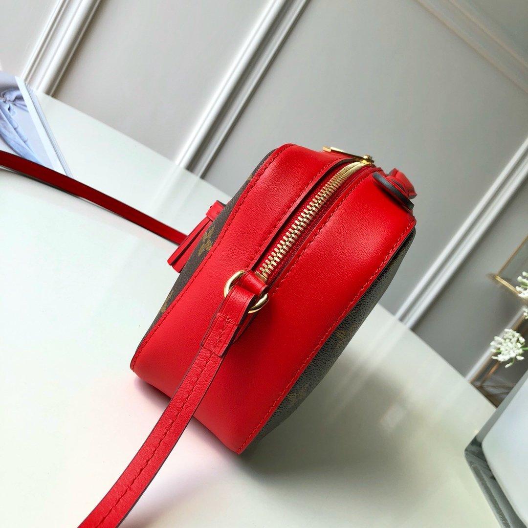 Louis Vuitton SAINTONGE Fashion Accessory Style 2
