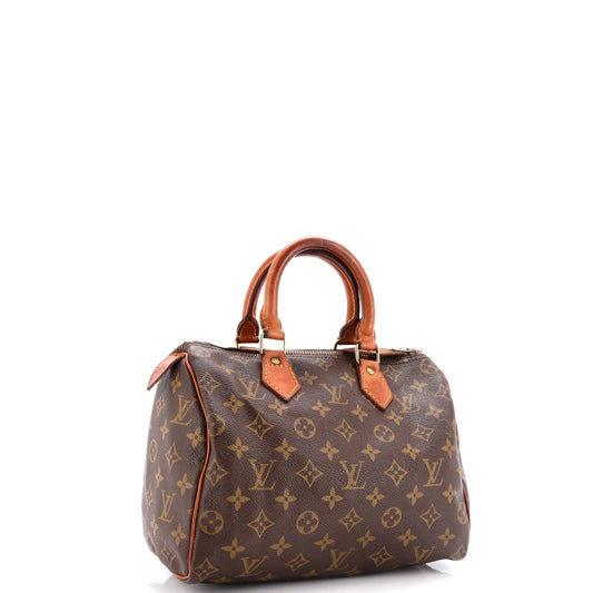 Louis Vuitton Speedy Handbag Canvas Monogram Travel Bag