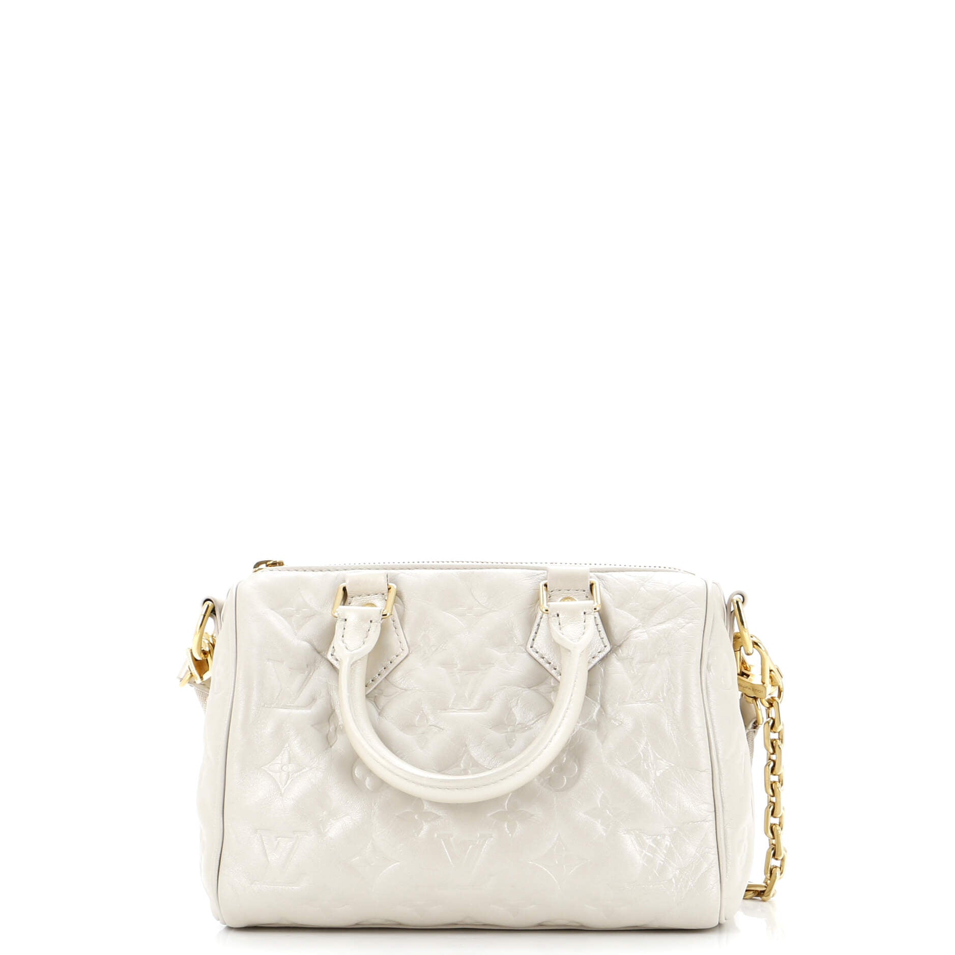 Louis Vuitton Speedy Bandouliere Bag Limited Edition Fall In Monogram Shoulder Bag Lambskin 223067313
