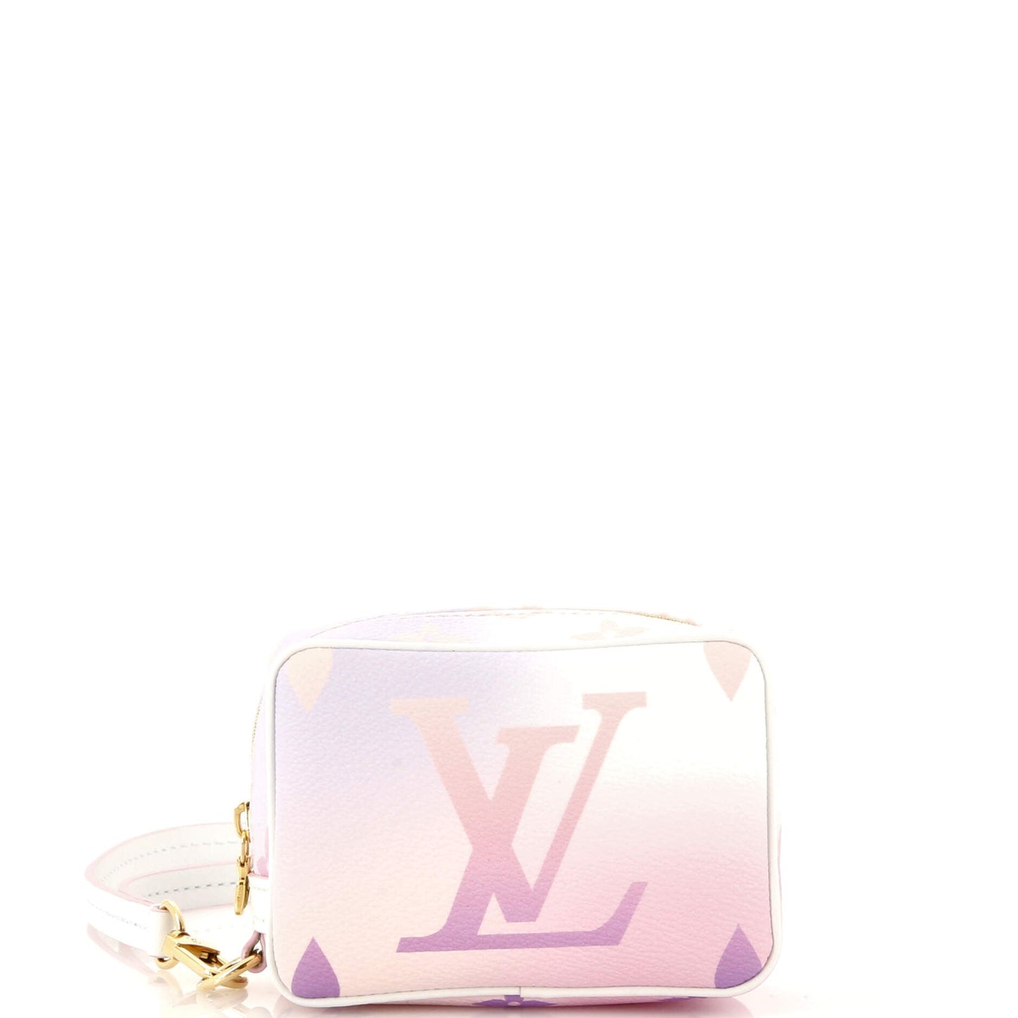 Louis Vuitton Wapity Case Spring In The City Giant Canvas Monogram Jewelry
