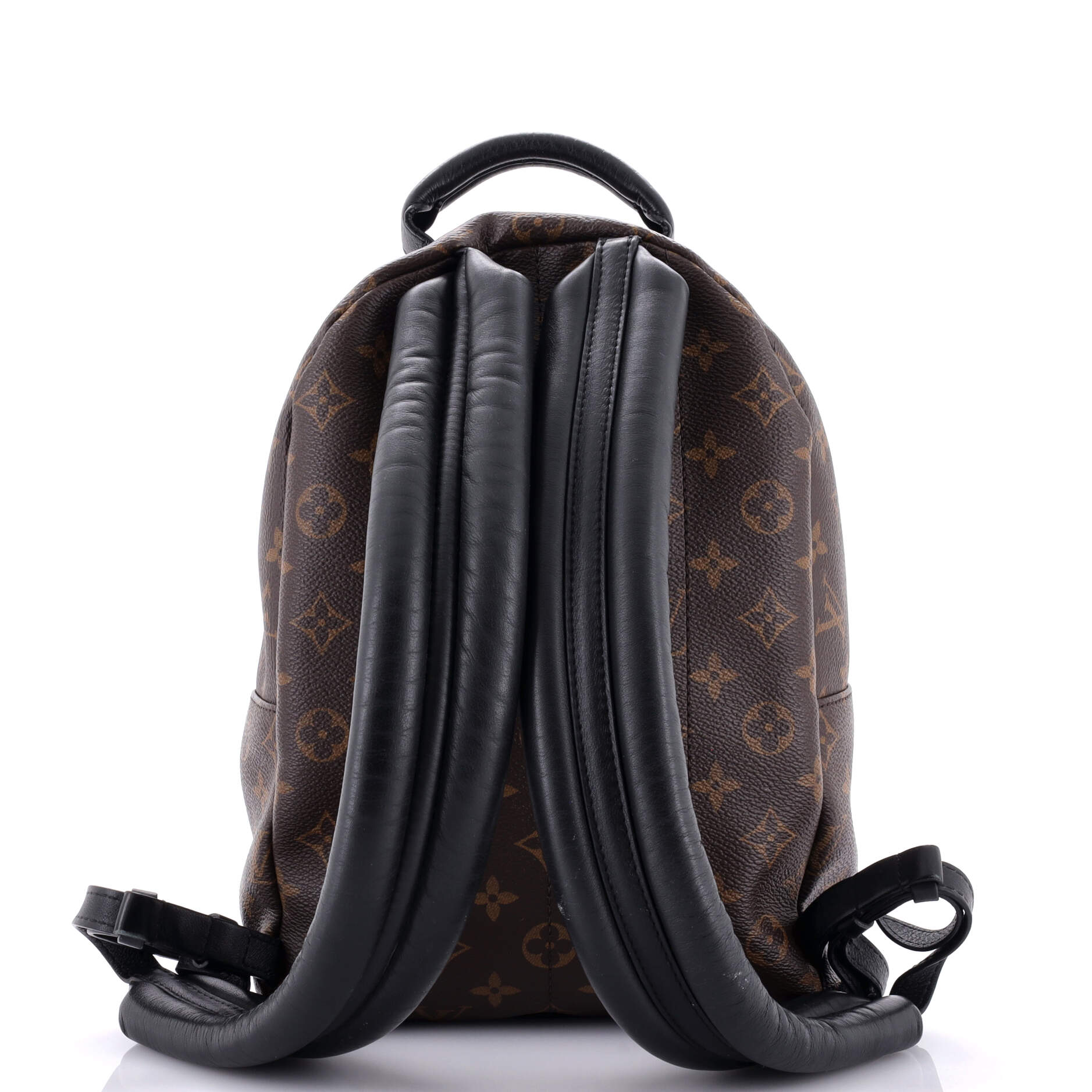 Louis Vuitton Palm Springs Backpack Pm Canvas Monogram Jewelry Canvas Pm3079471