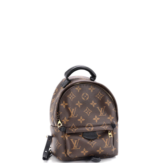 Louis Vuitton Palm Springs Backpack Canvas Monogram Jewelry Canvas Mini3084582