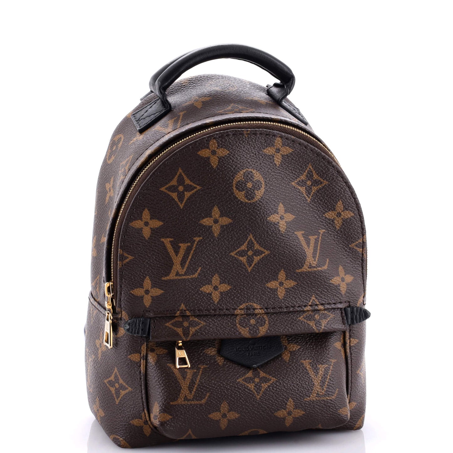 Louis Vuitton Palm Springs Backpack Canvas Monogram Jewelry Canvas Mini3117451