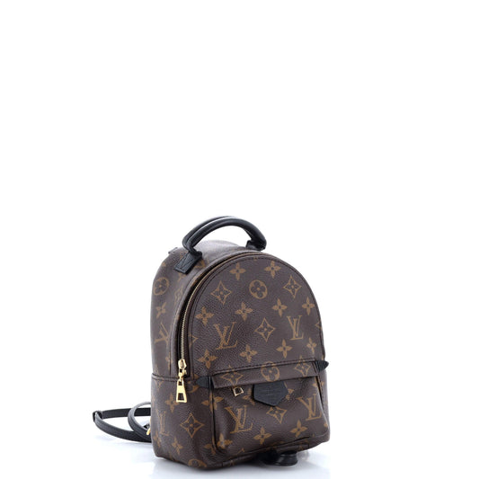 Louis Vuitton Palm Springs Backpack Canvas Monogram Jewelry Canvas Mini3121061
