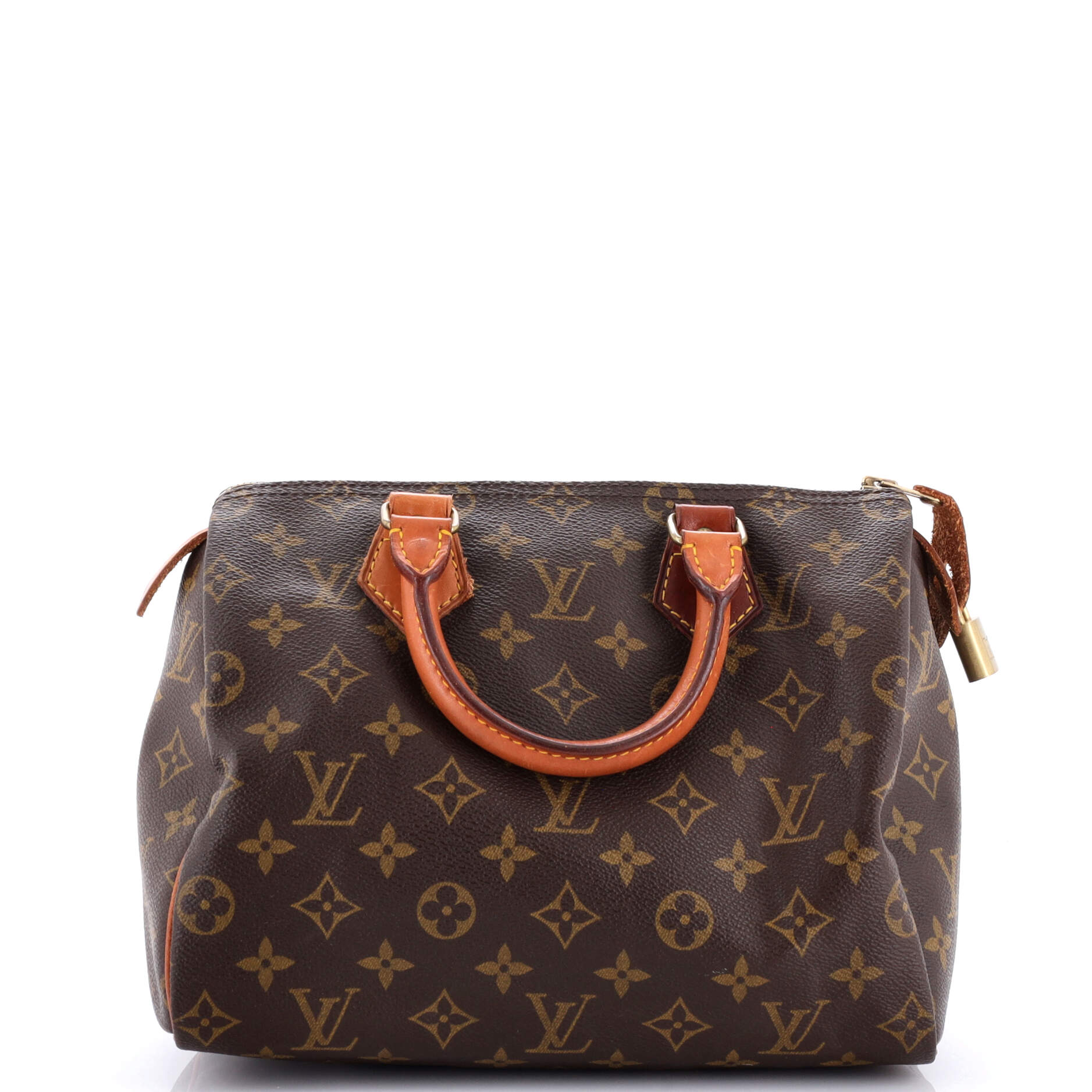 Louis Vuitton Speedy Handbag Canvas Monogram Travel Bag Canvas 253127552