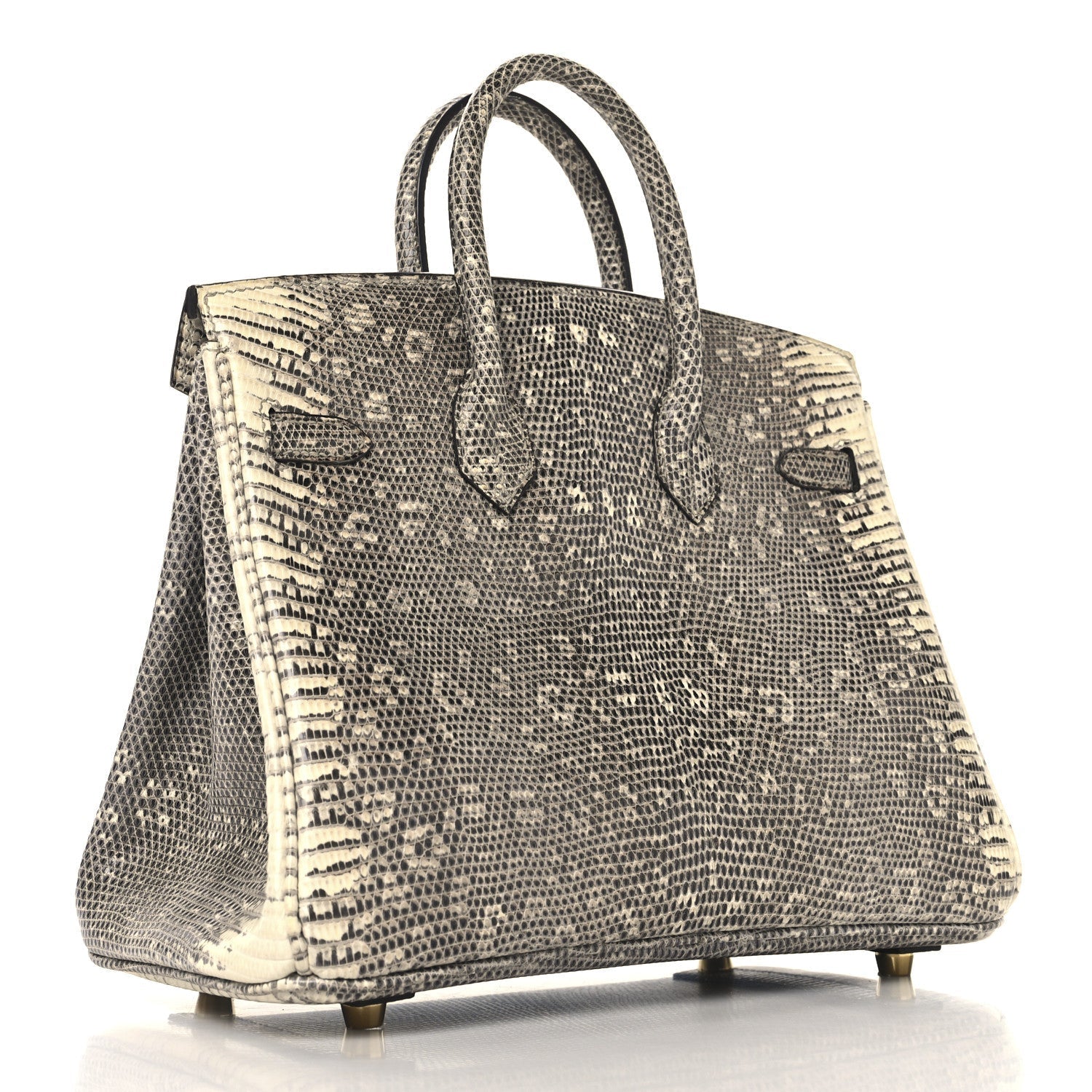 Hermes Lizard Birkin Ombre Handbag Travel Bag