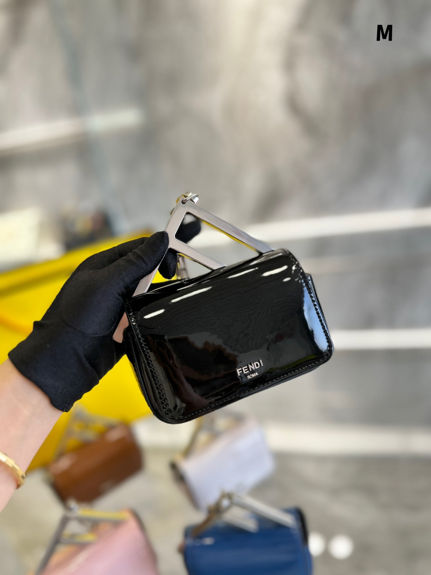 EN - Luxury FEI 288 Travel Bag