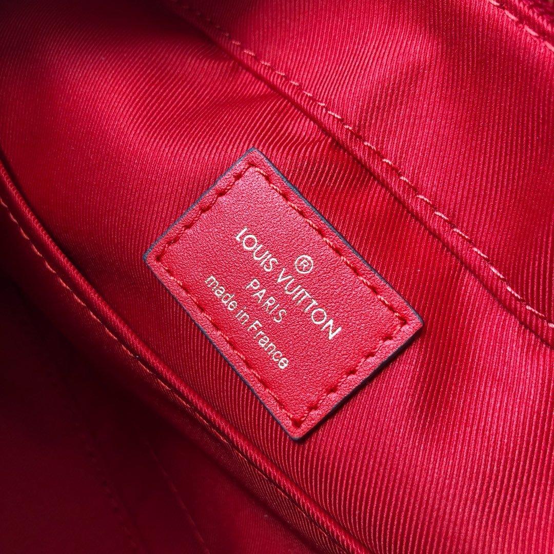 Louis Vuitton SAINTONGE Fashion Accessory Style 2