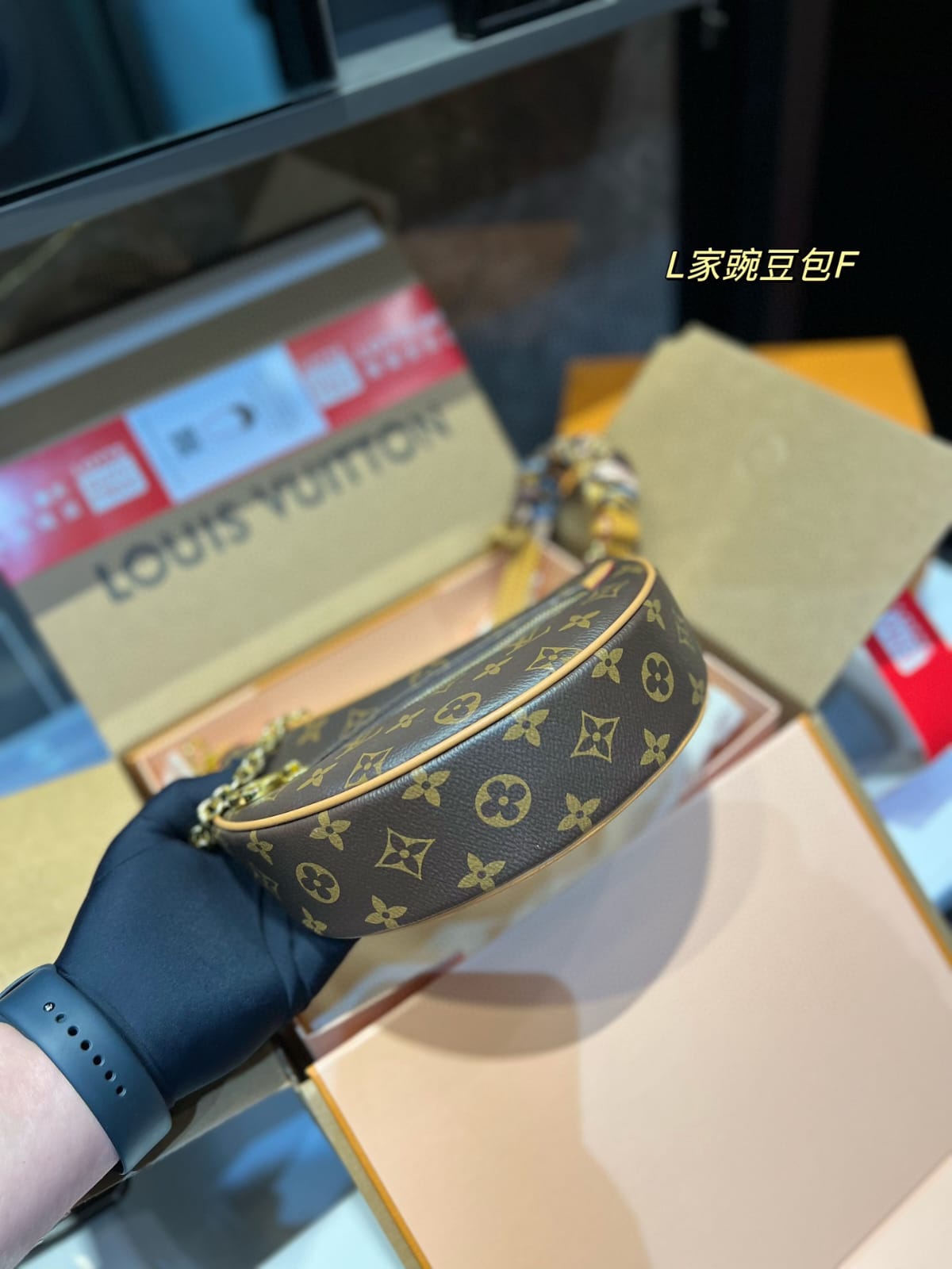 Louis Vuitton Loop monogram Handbag ?? Twilly Scarf