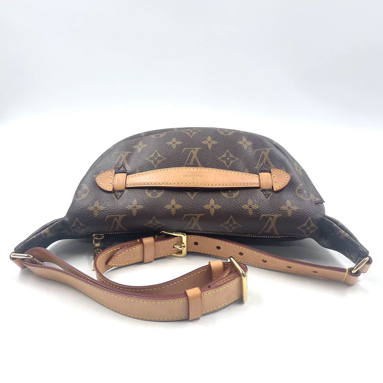 Louis Vuitton Bumbag Monogram Brown Handbag 3