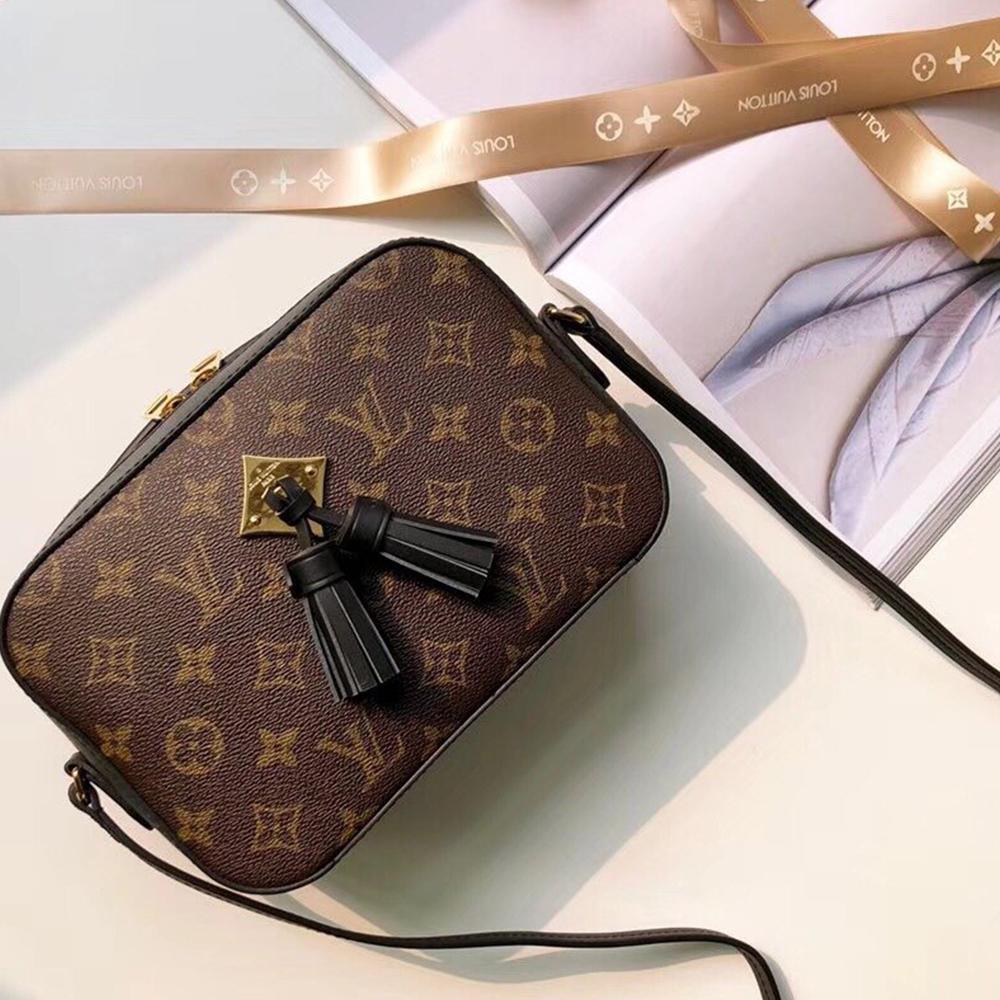 Louis Vuitton SAINTONGE Fashion Accessory