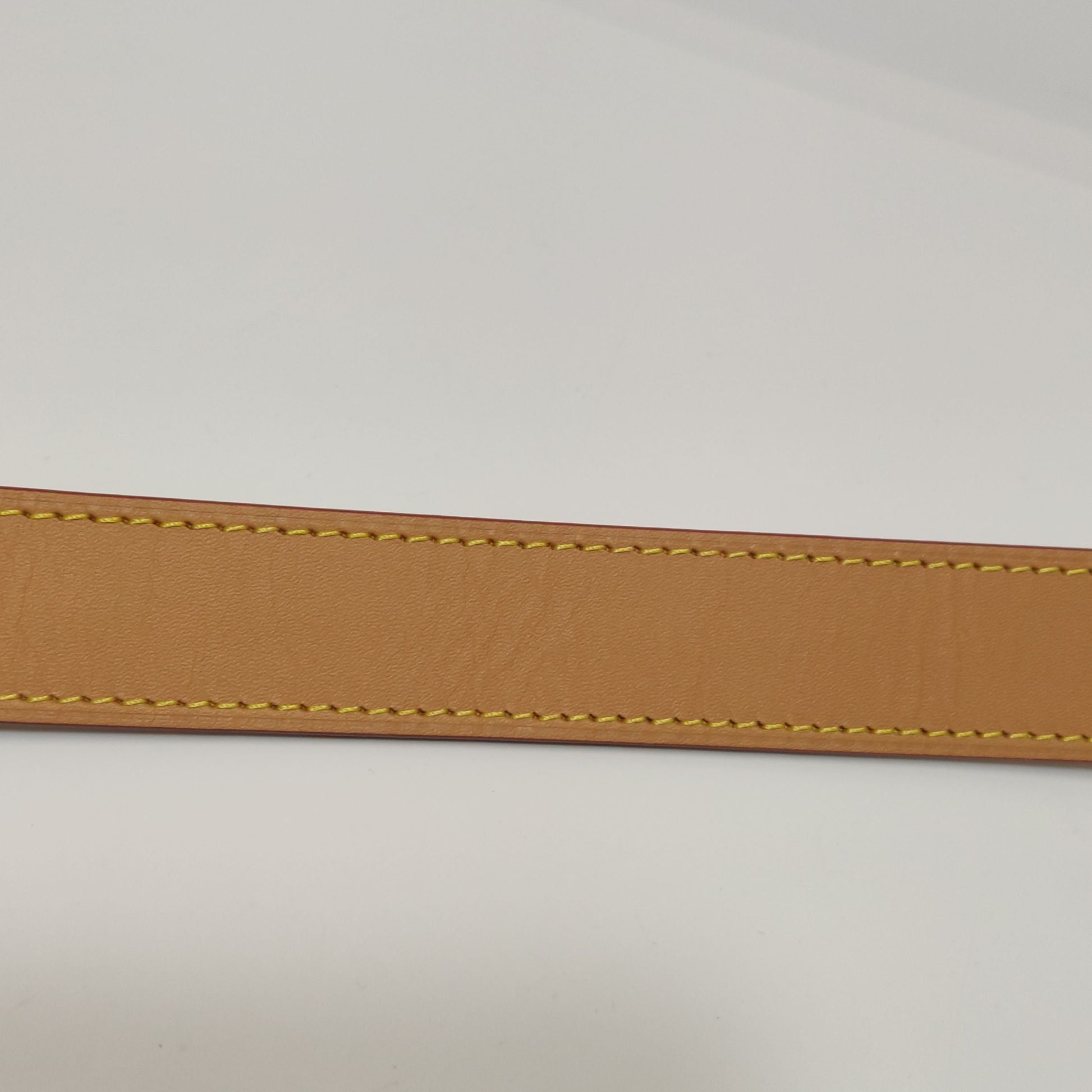 Louis Vuitton Odeon PM Monogram Canvas Crossbody Bag with Chip 250502781175772