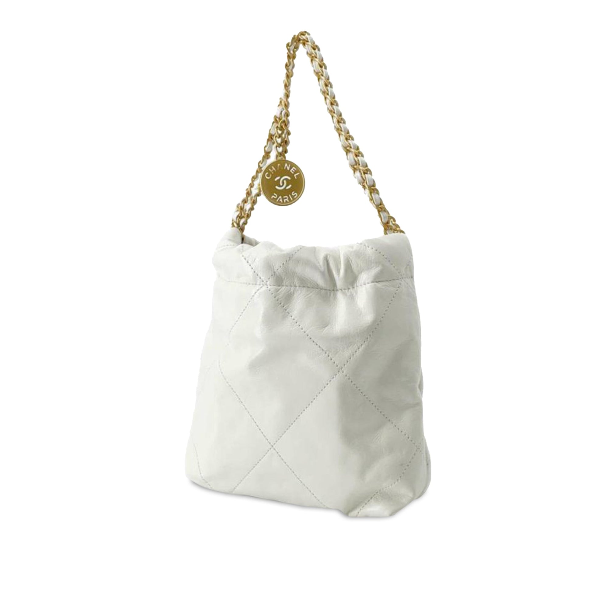CHANEL Calfskin Mini 22 Satchel