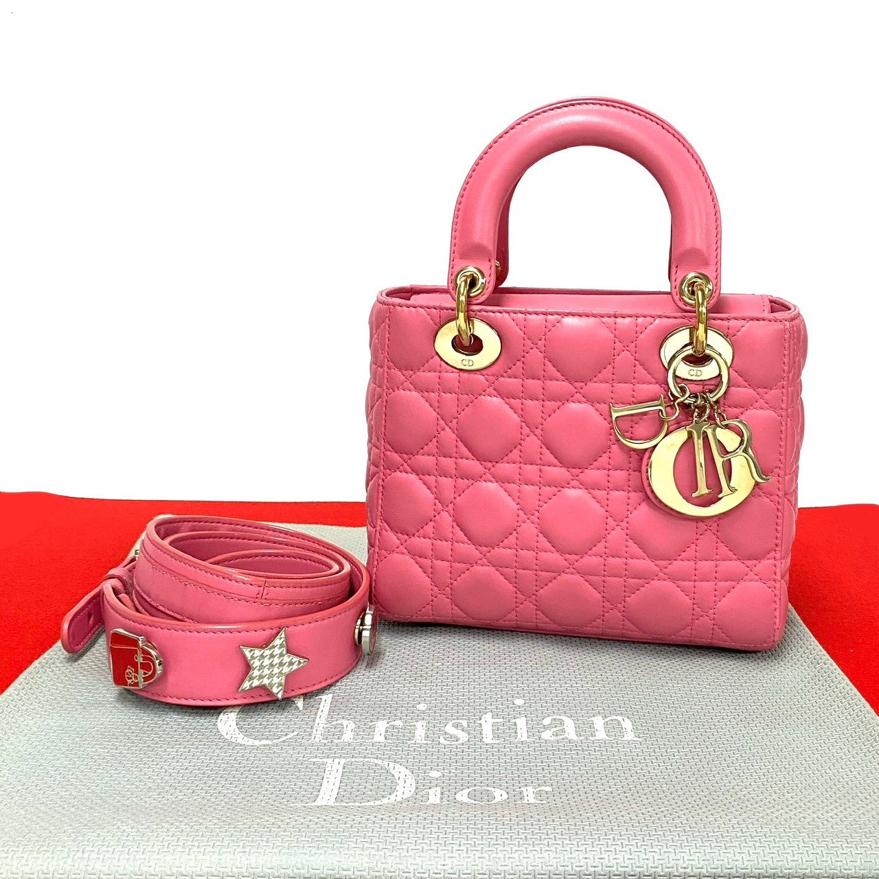 Dior Christian My Lady 2Way Bag Lambskin Travel Bag