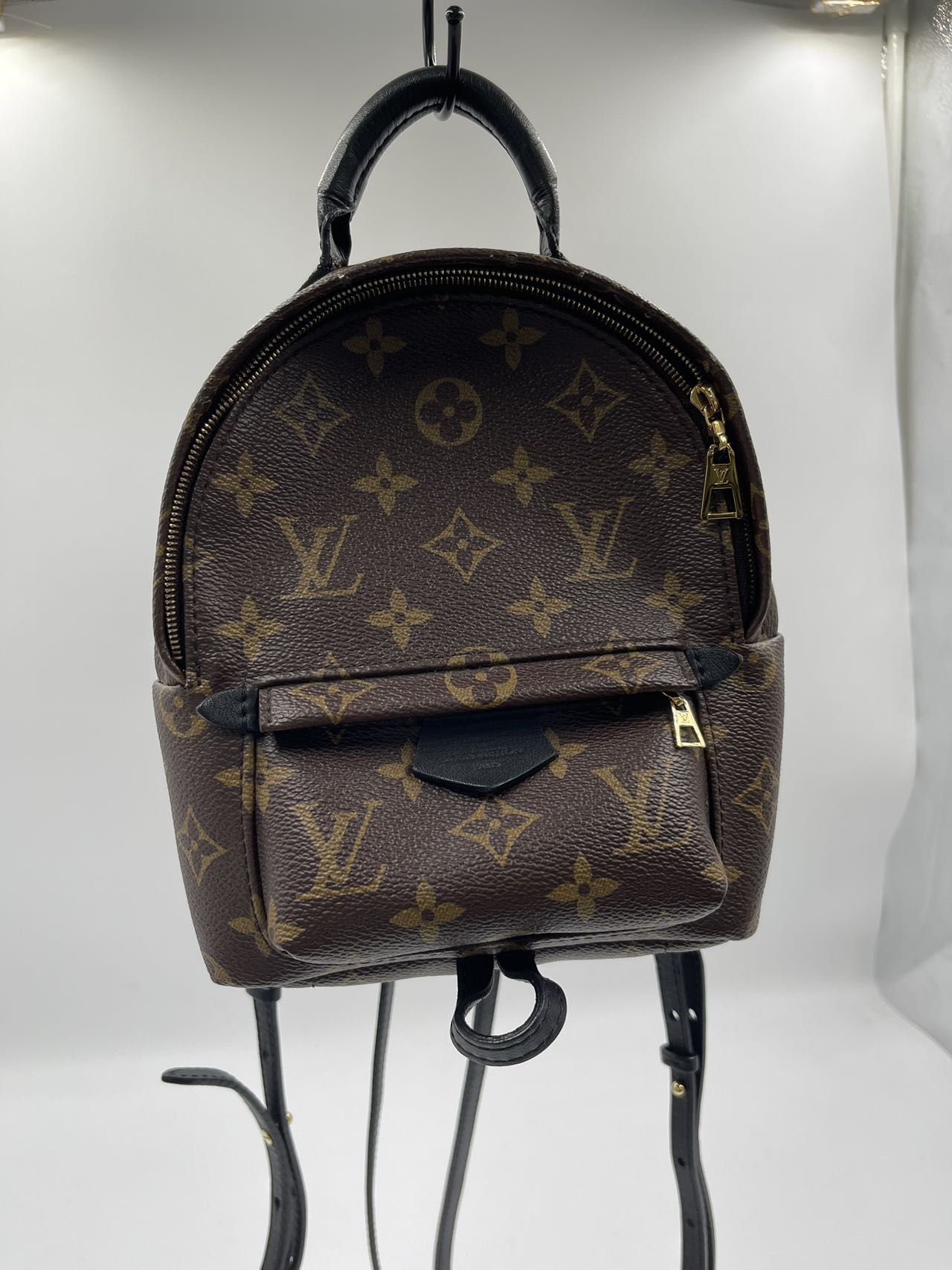 Louis Vuitton Palm Spring Back Pack Fashion Accessory
