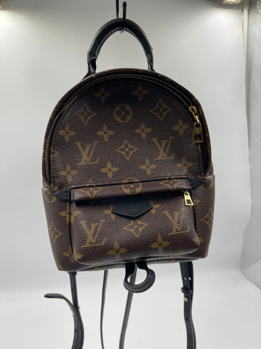 Louis Vuitton Palm Spring Back Pack Fashion Accessory