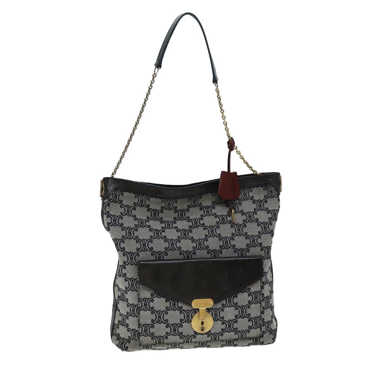 Luxury Triomphe Shoulder Bag Gray Canvas