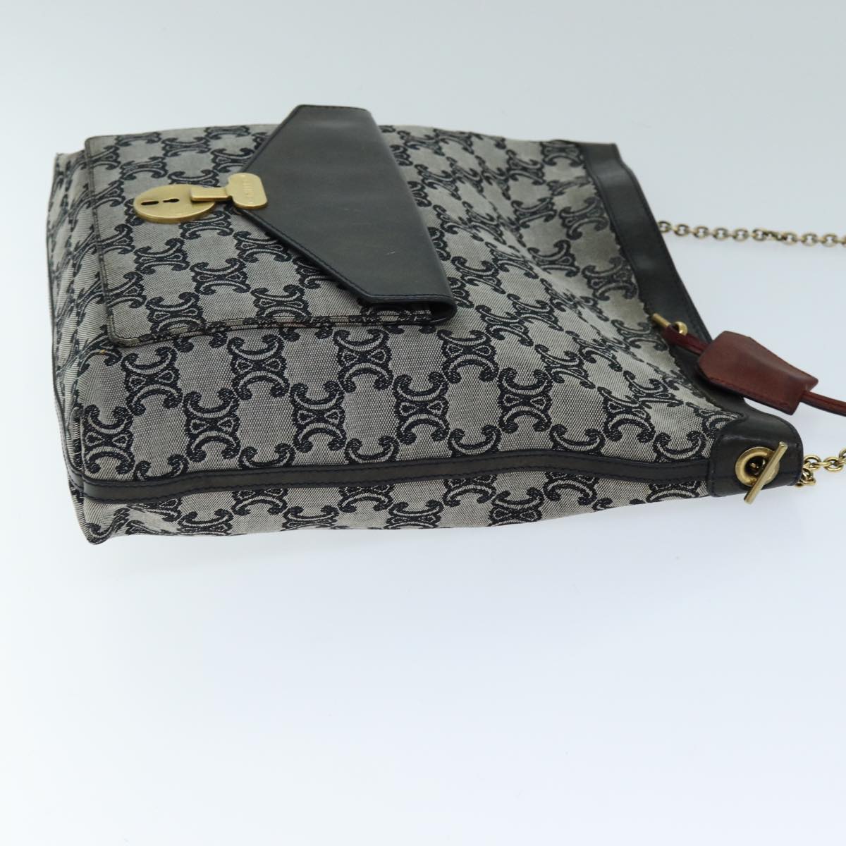 Luxury Triomphe Shoulder Bag Gray Canvas