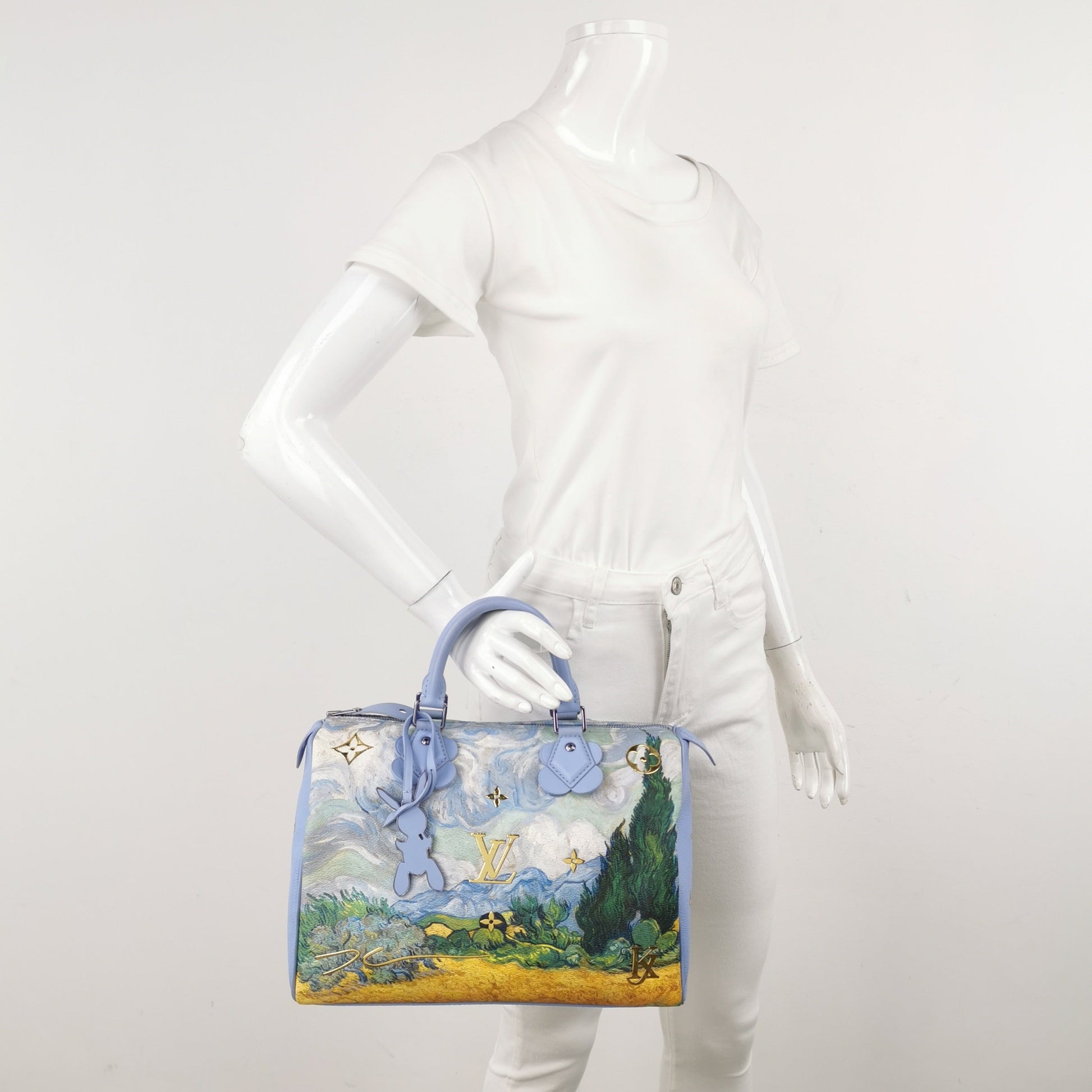 Louis Vuitton x Jeff Koons Speedy 30 Van Handbag Bag 4