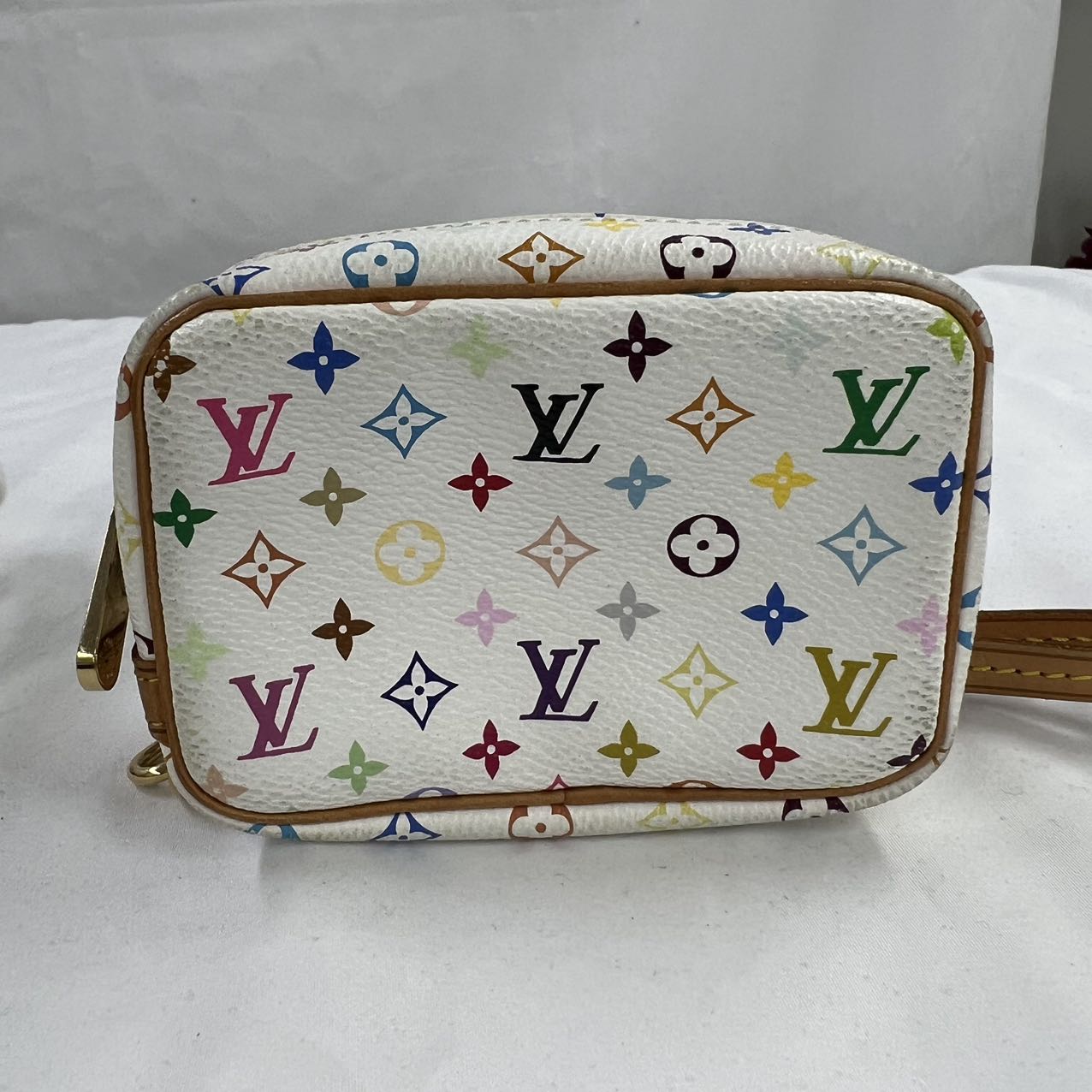 Louis Vuitton Truth Wapiti Multi Color Fashion Accessory