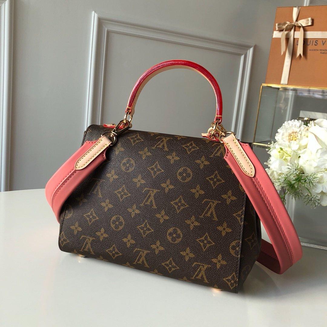 Louis Vuitton CLUNY BB Luxury Handbag