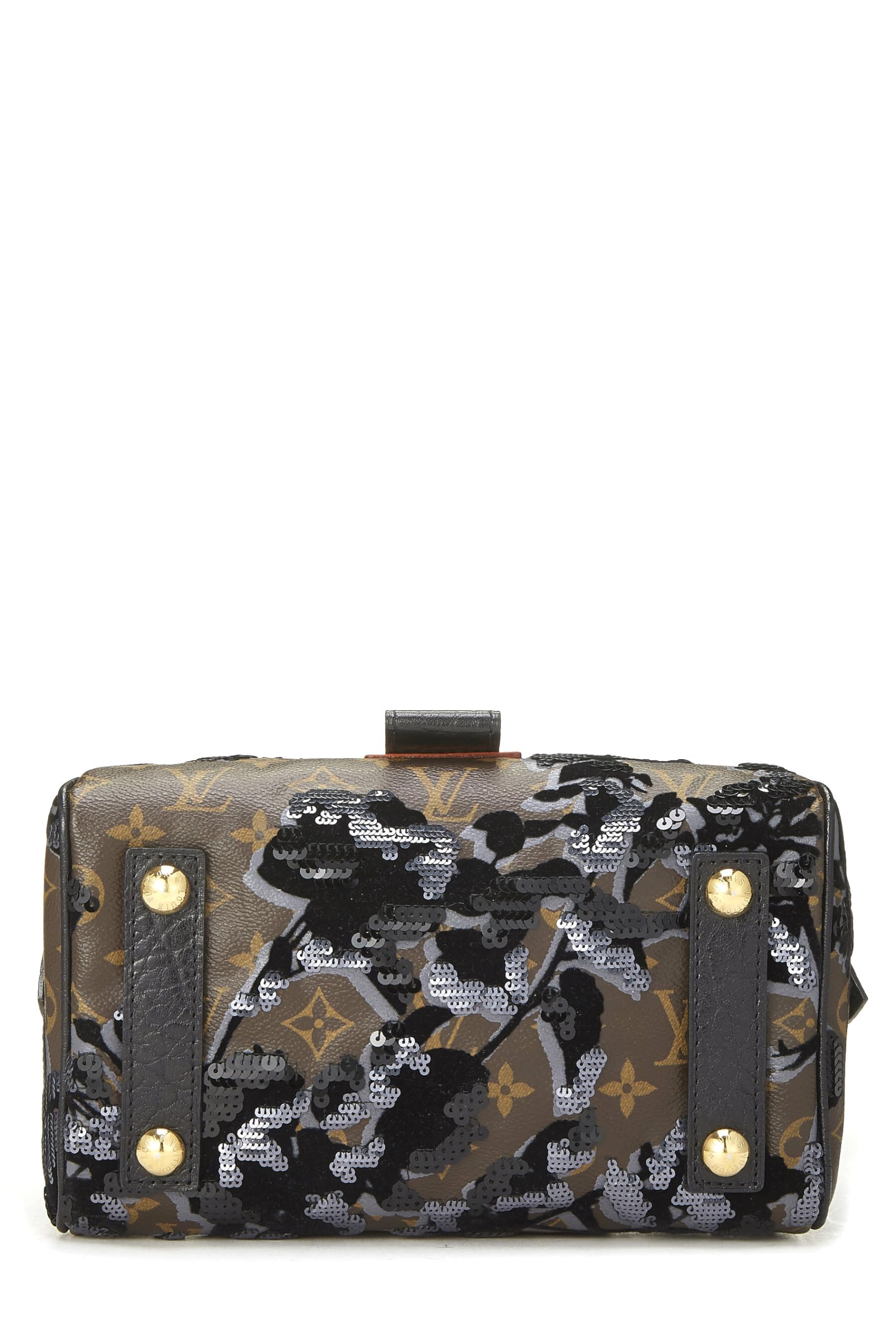 Louis Vuitton,  Monogram Canvas Fleur De Jais Carro l Bag, Brown