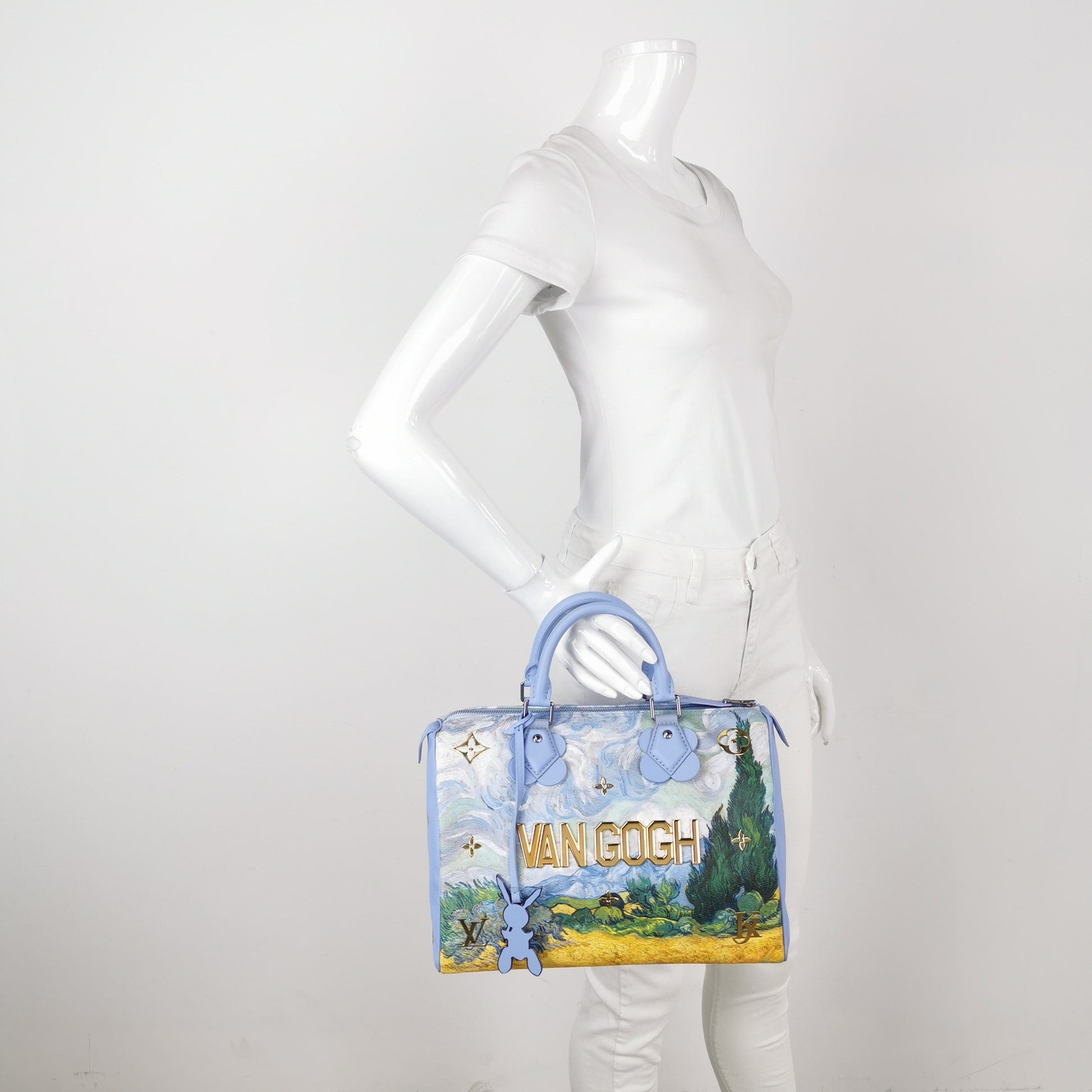 Louis Vuitton x Jeff Koons Speedy 30 Van Handbag Bag 1