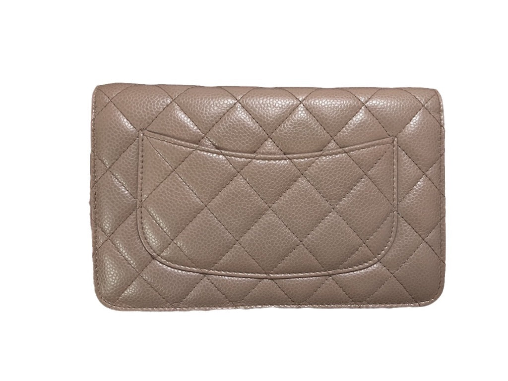 Chanel on WOC hardware Silver Beige Wallet Case