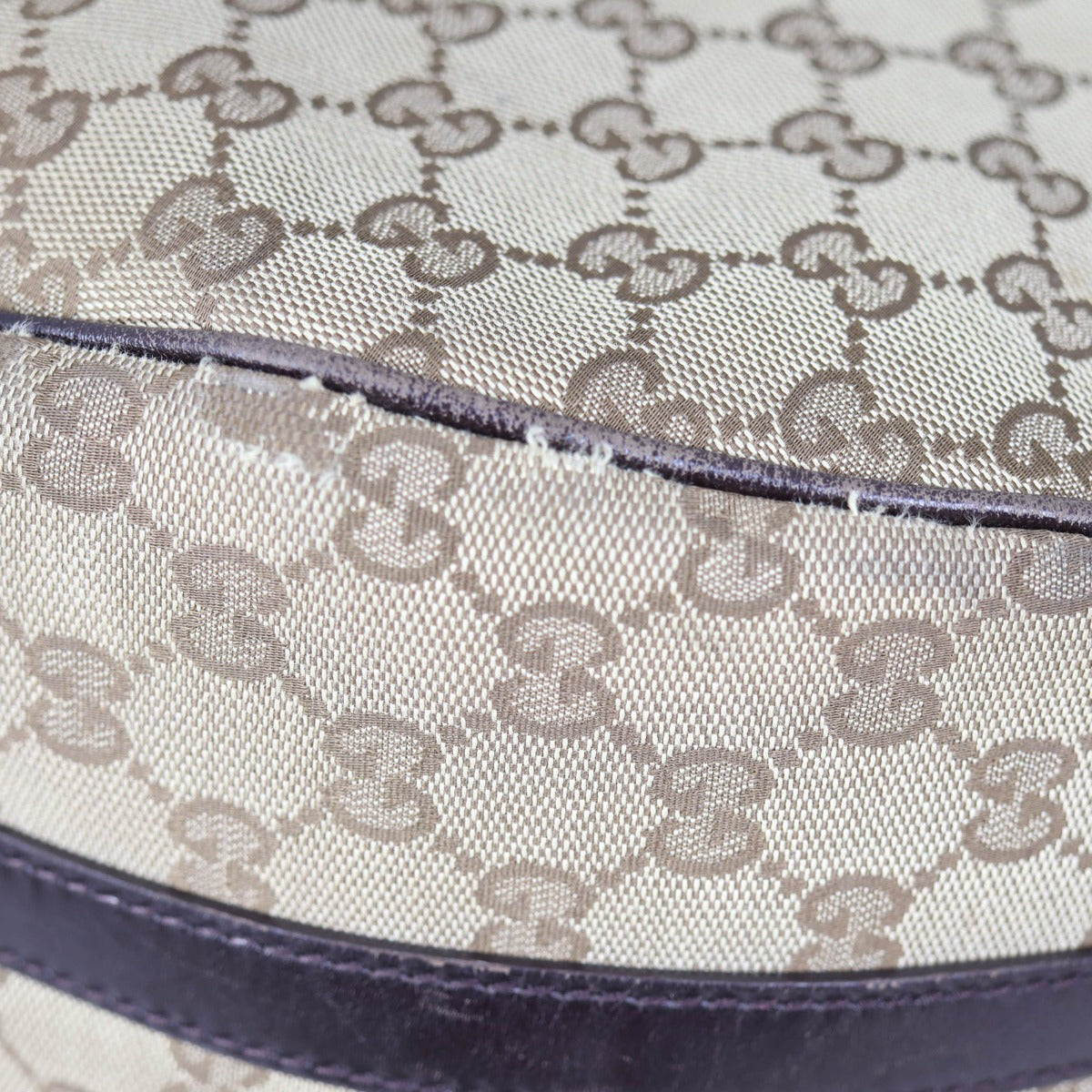 Gucci GG Canvas Twins Hobo