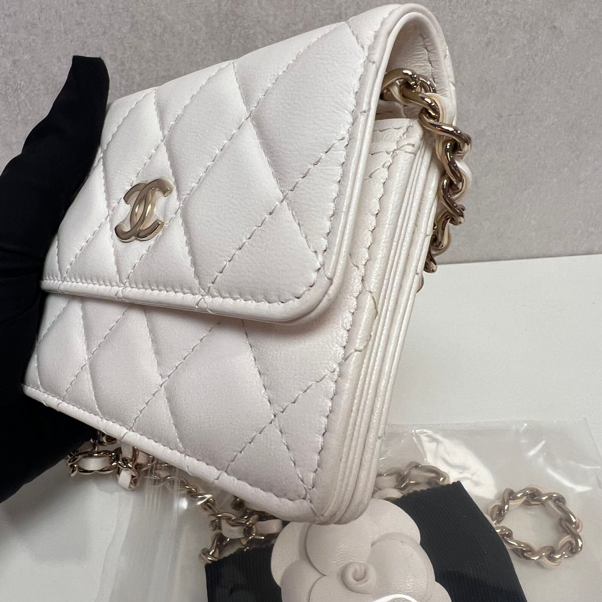Chanel Clutch on Chain