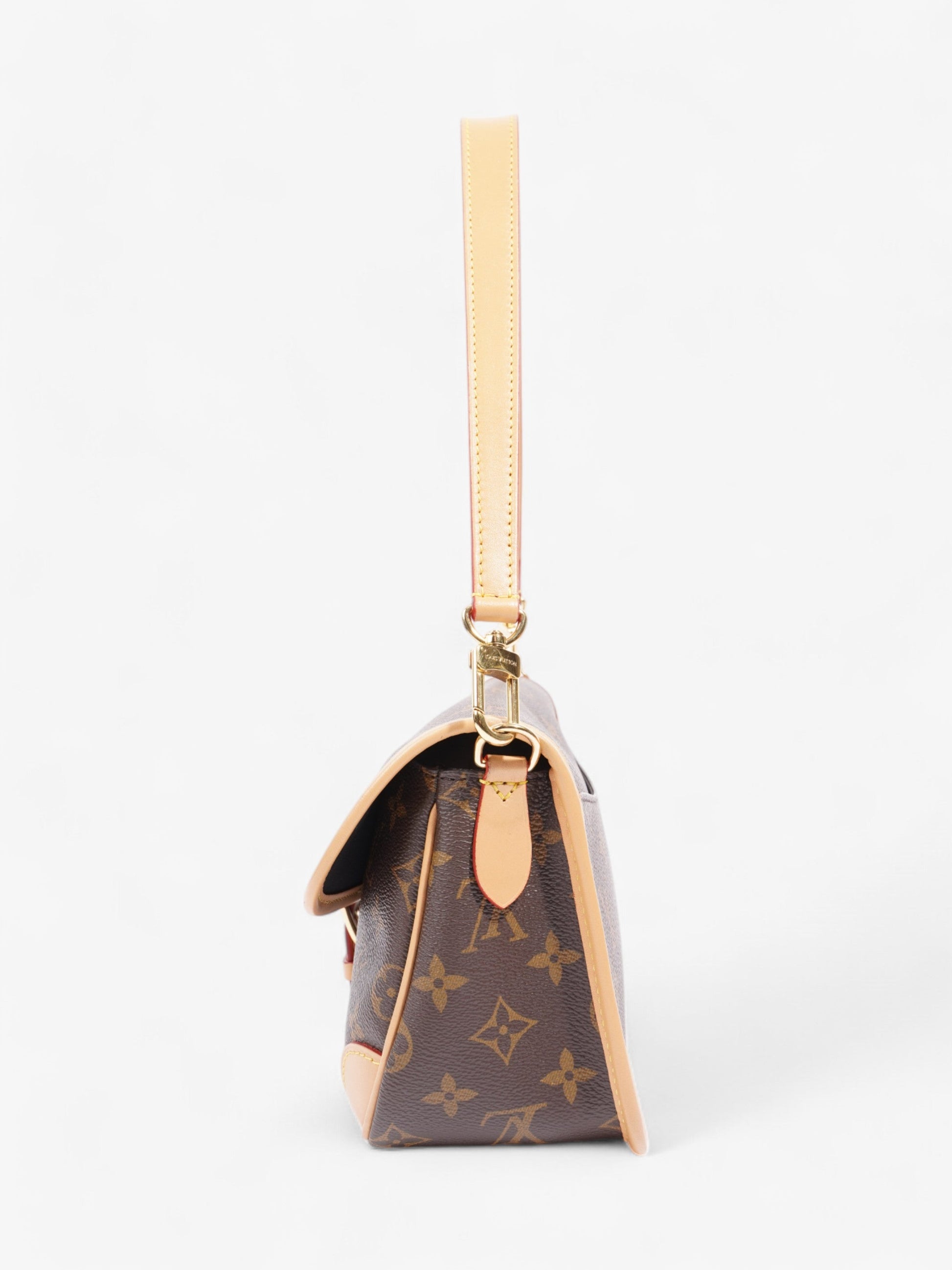 Louis Vuitton Diane Coated PM Monogram Canvas Coated Canvas Apparel