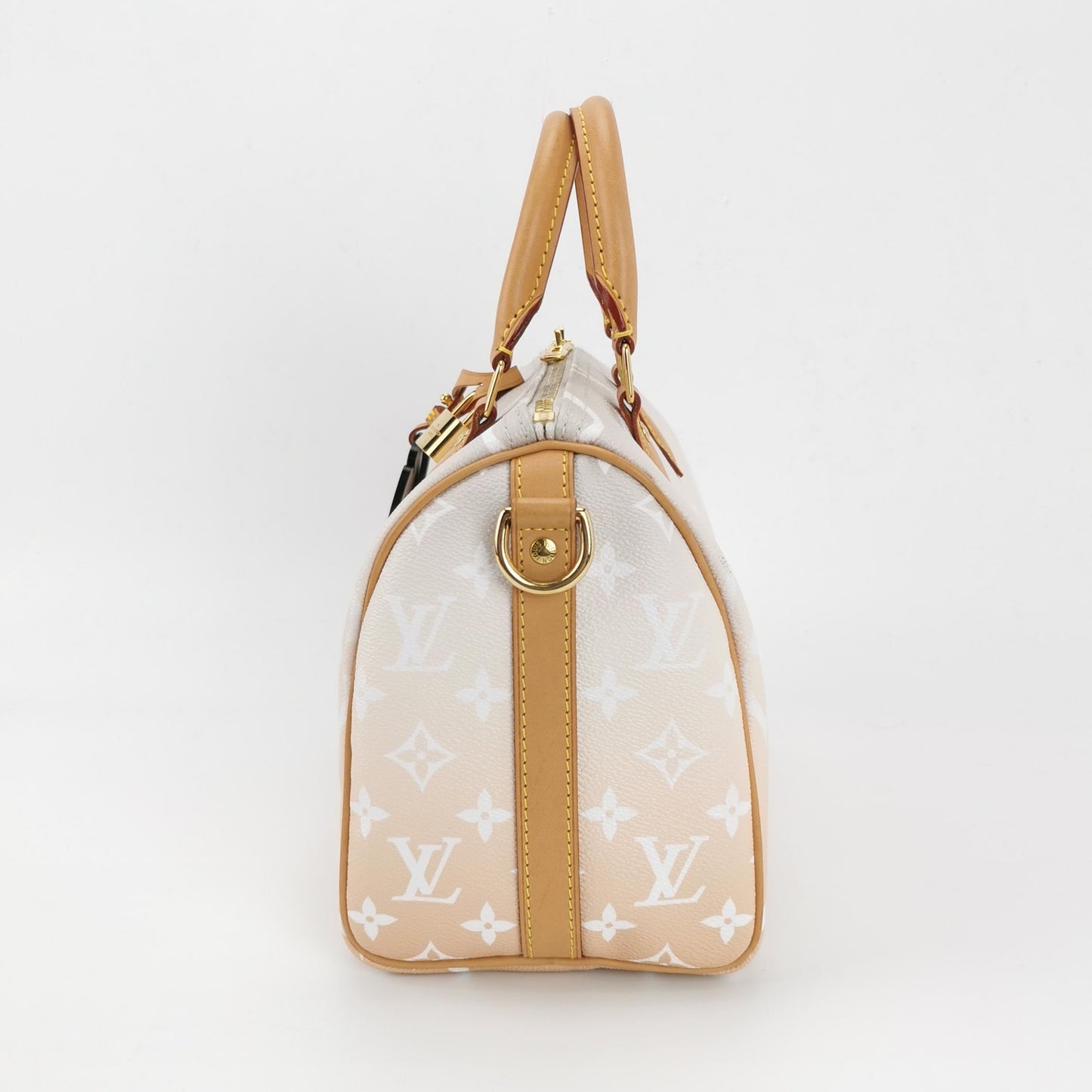 Louis Vuitton Speedy Bandouliere By Pool Giant 25 Monogram Handbag
