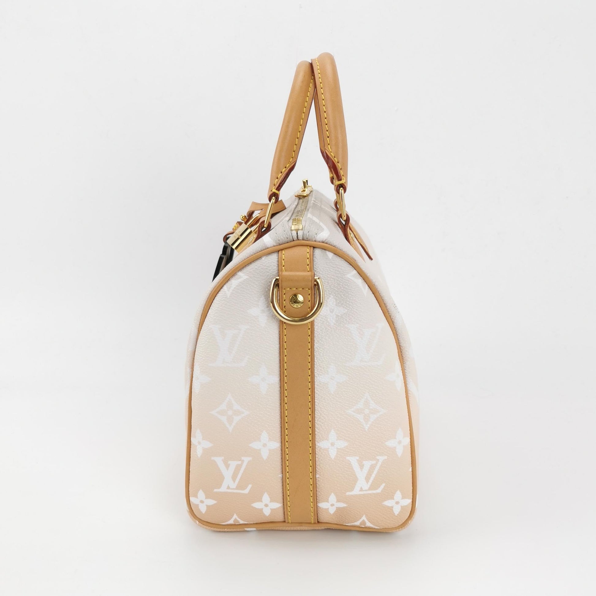 Louis Vuitton Speedy Bandouliere By Pool Giant 25 Monogram Handbag