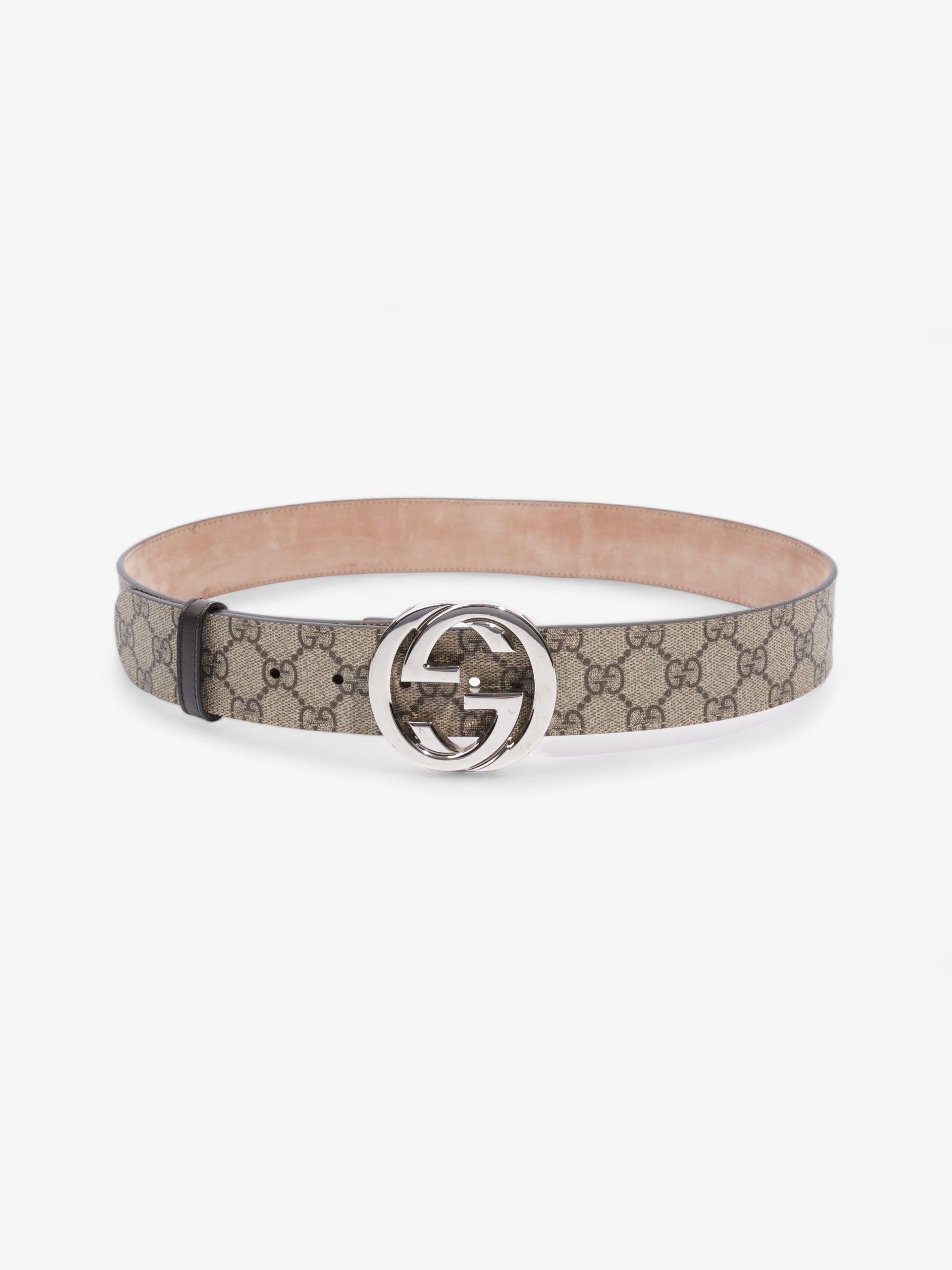 Gucci Blondie Belt Ebony Handbag Canvas Beige Accessory
