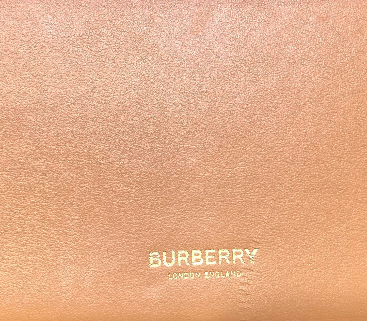 Burberry Pocket 2Way Bag Leather Mini Crossbody Bag