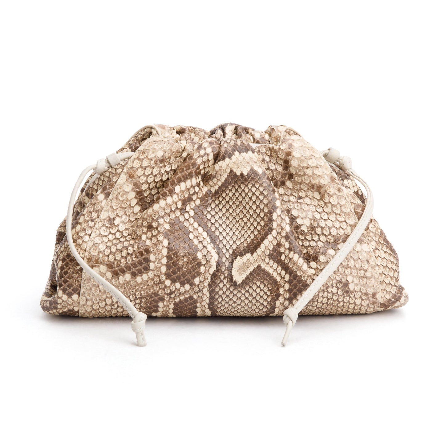 Bottega Veneta Neutral Python The Pouch Travel Bag Mini