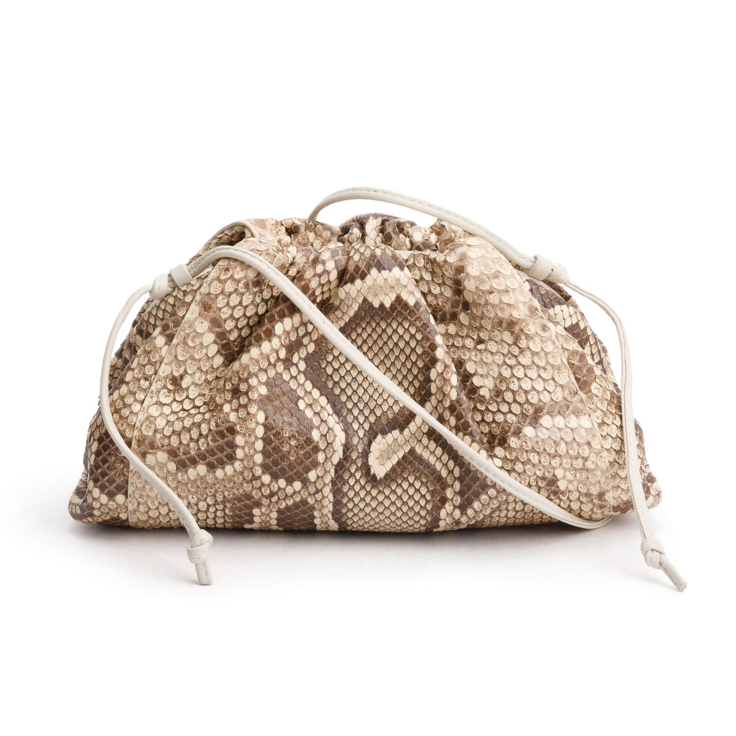 Bottega Veneta Neutral Python The Pouch Travel Bag Mini