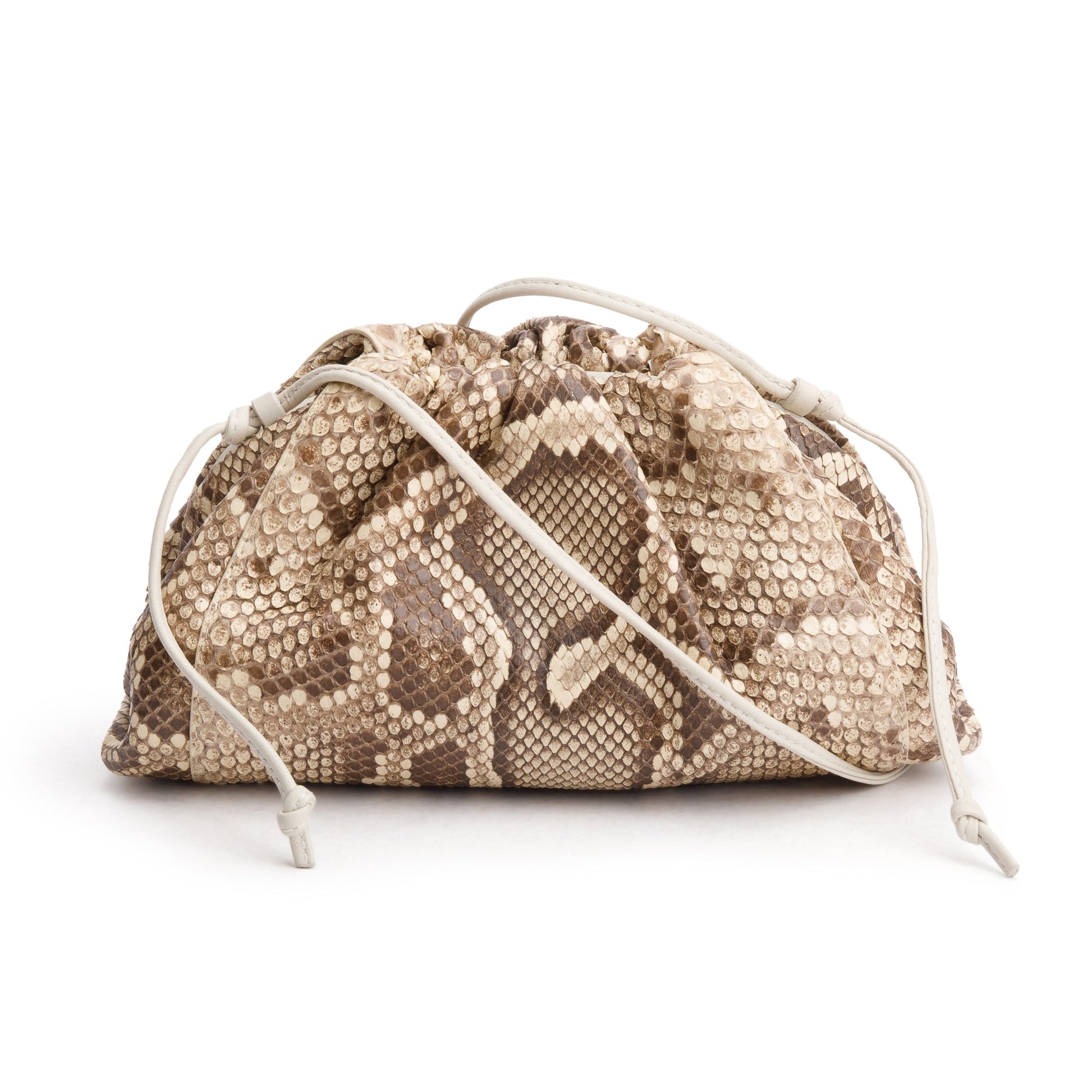 Bottega Veneta Neutral Python The Pouch Travel Bag Mini