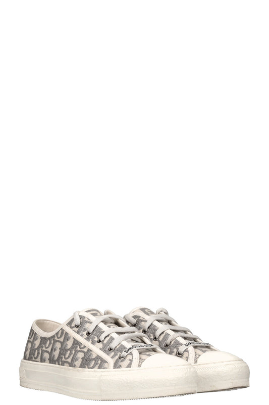 Dior Sneakers Oblique Grey Gray Shoes