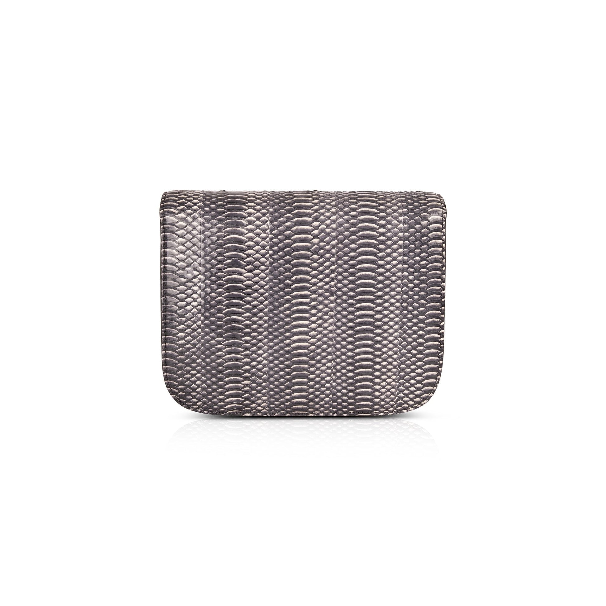 Celine Python Classic Box Bag Medium Travel Bag