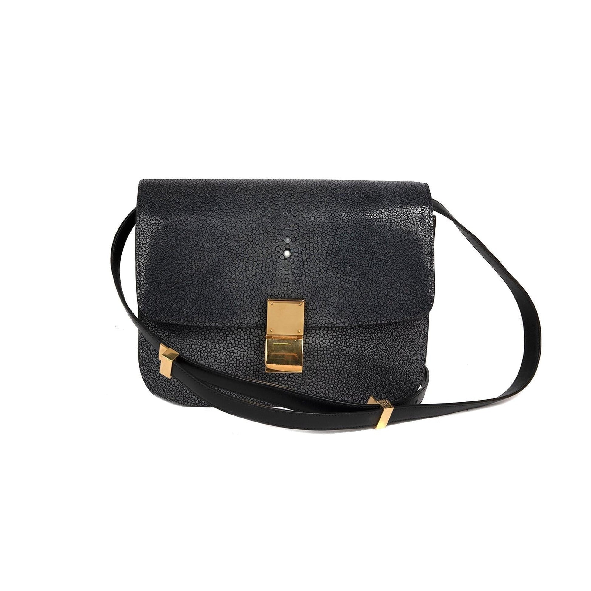 Celine Stingray Classic Box Bag Medium Travel Bag