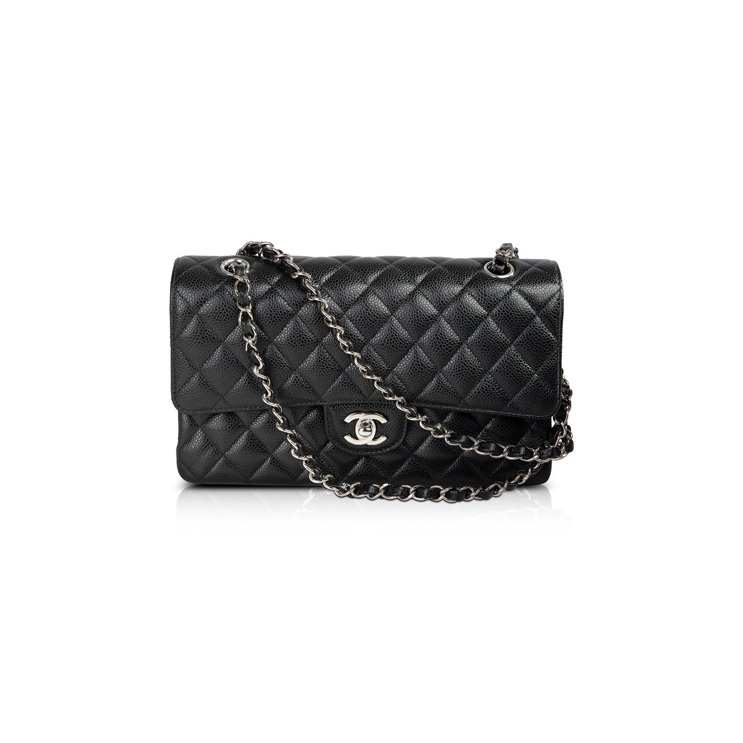 Chanel Classic Double Flap Travel Bag 5