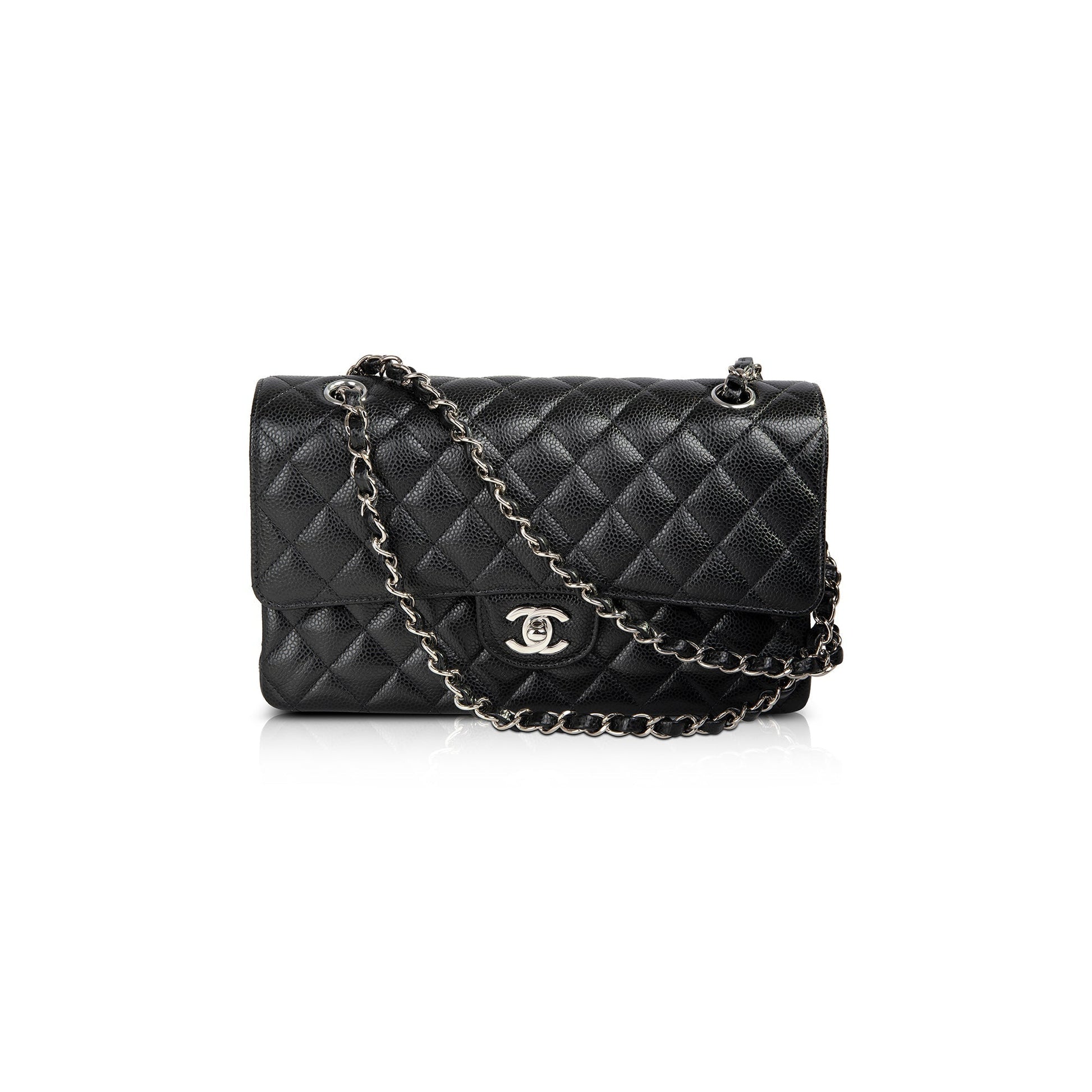 Chanel Classic Double Flap Travel Bag 5